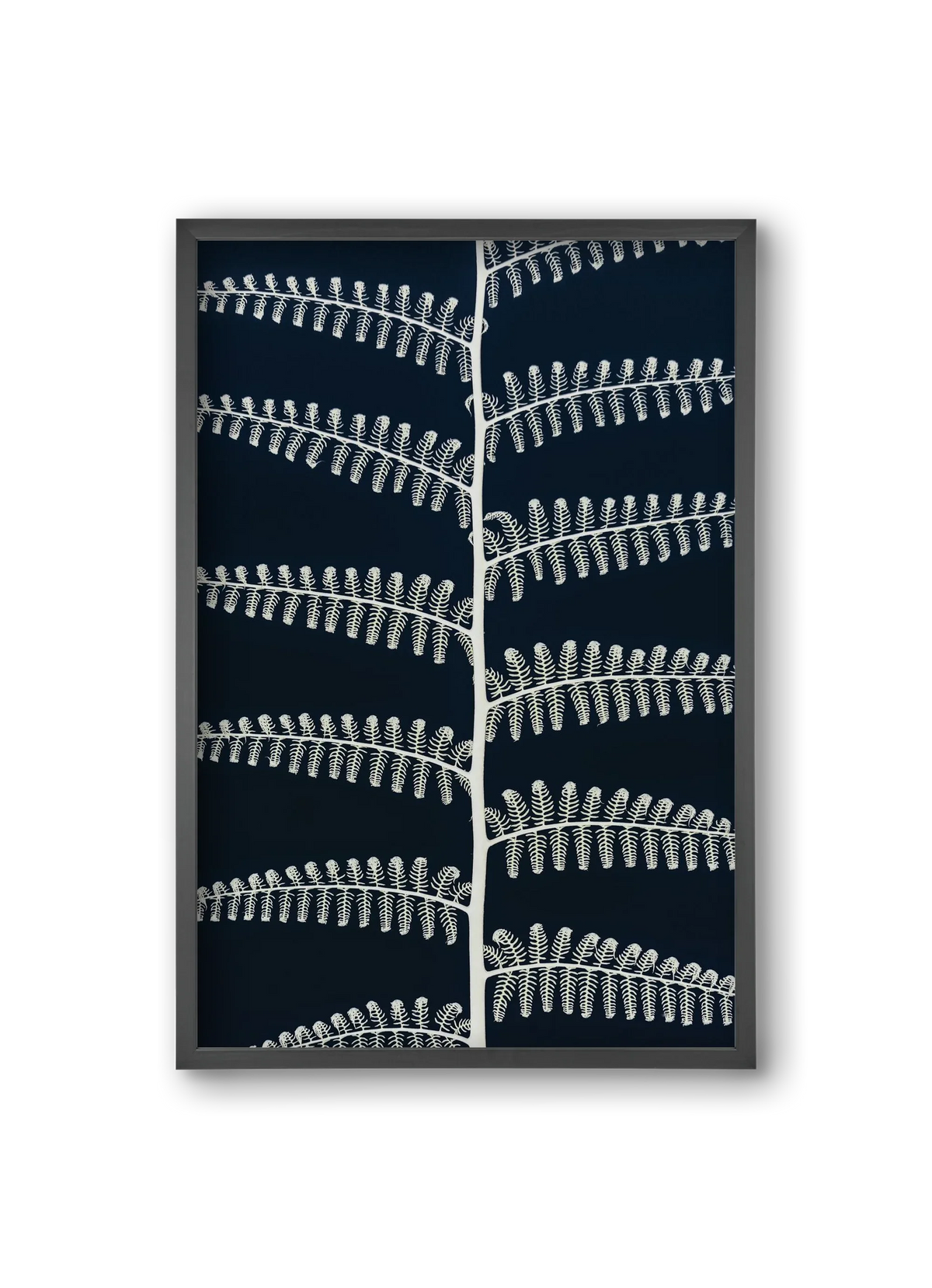 Fern - artbridge