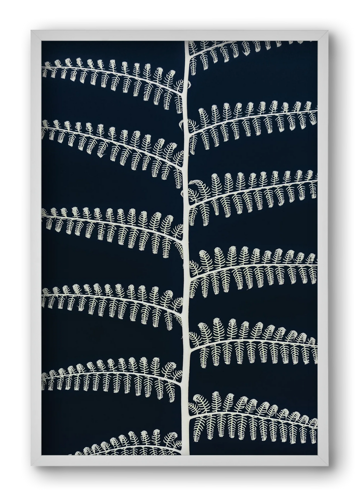 Fern - artbridge