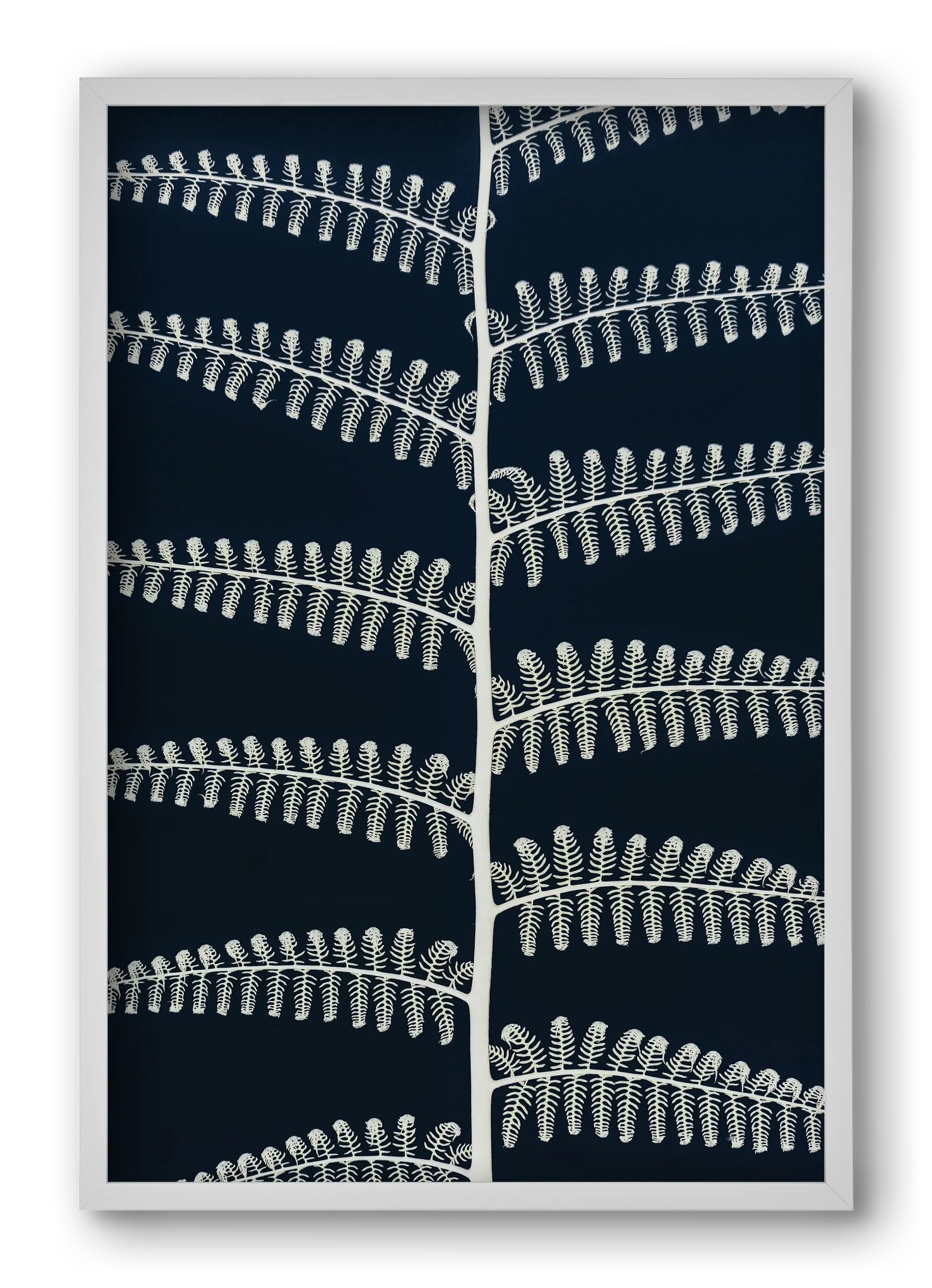 Fern - artbridge