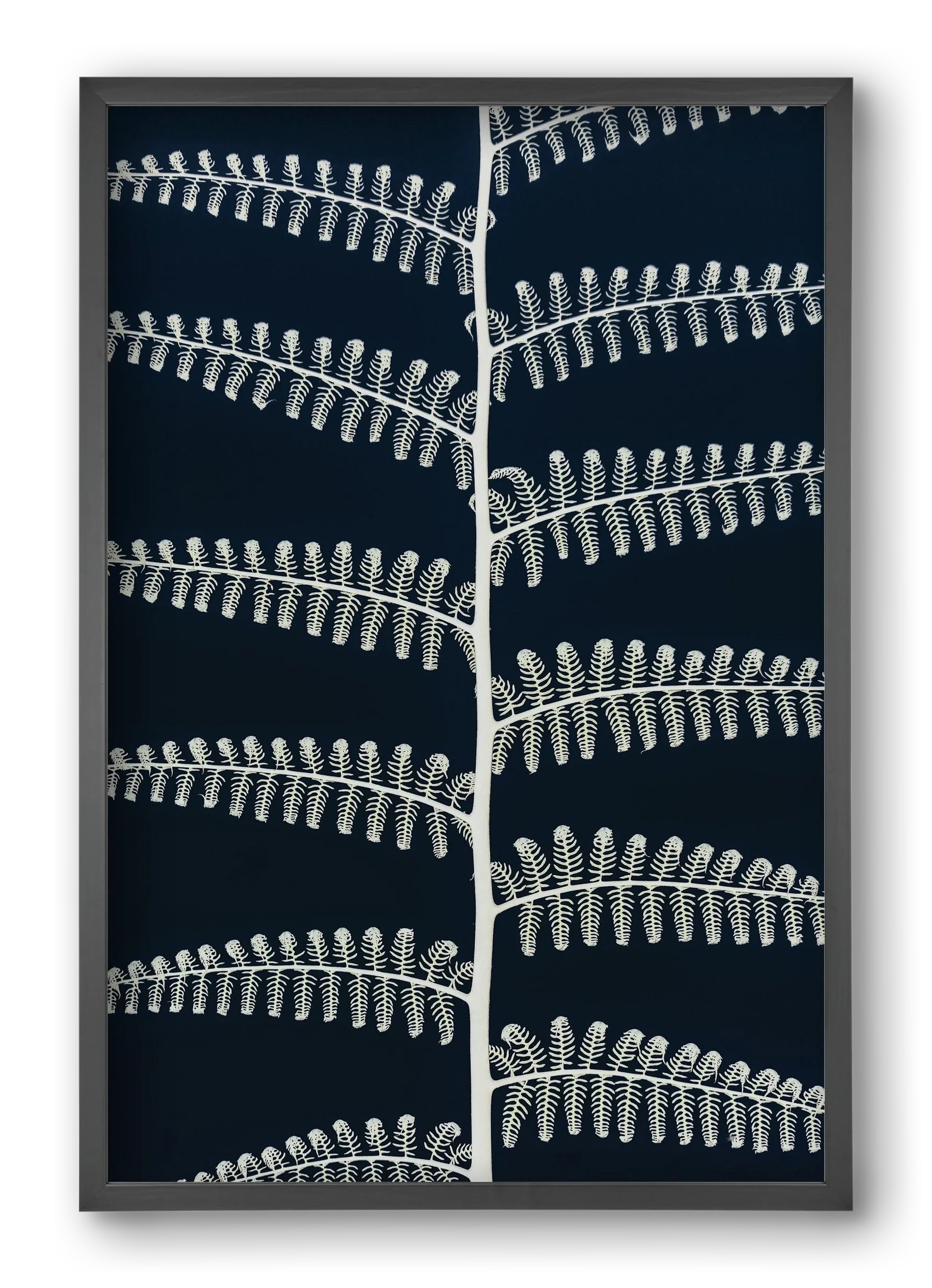Fern - artbridge