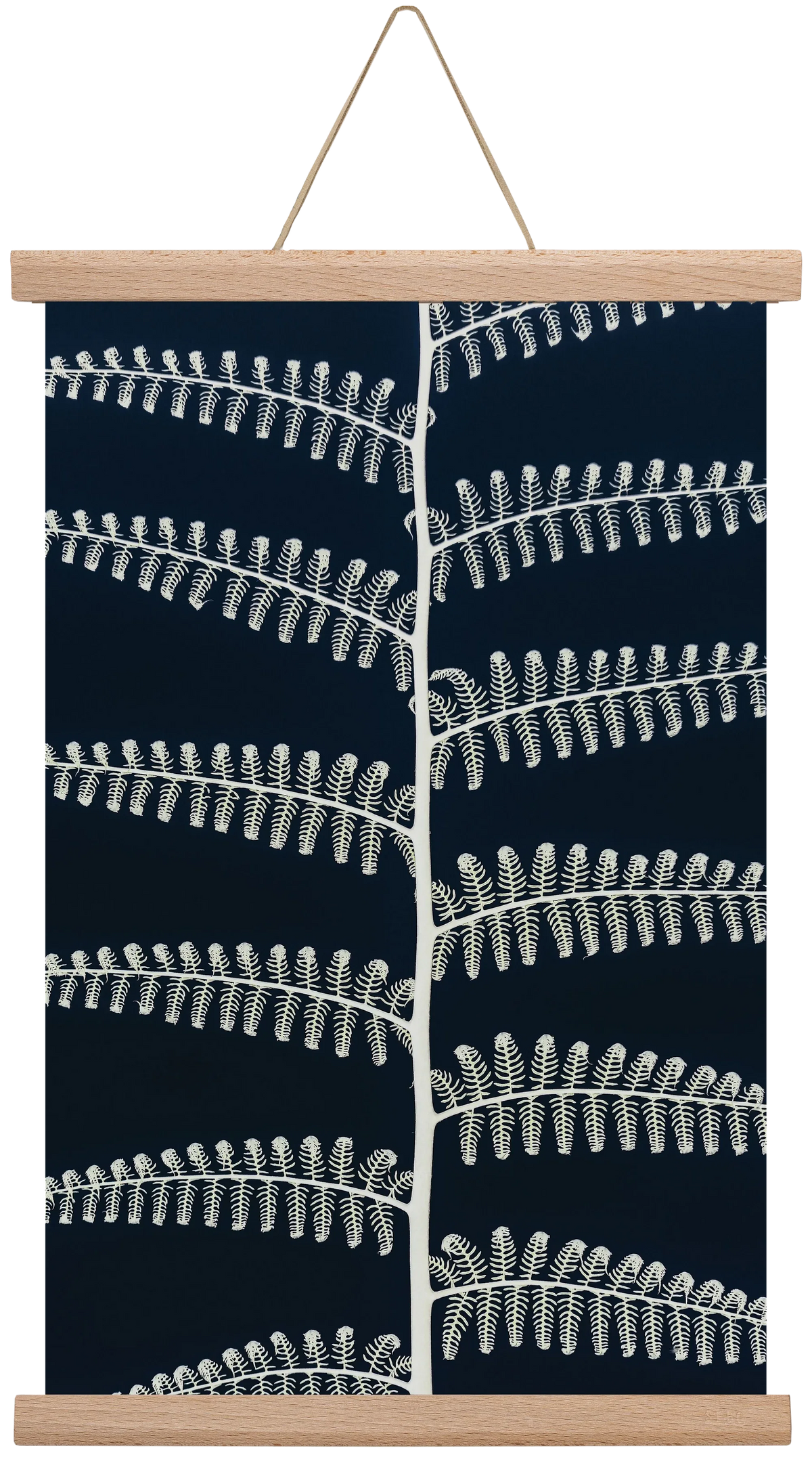 Fern - artbridge