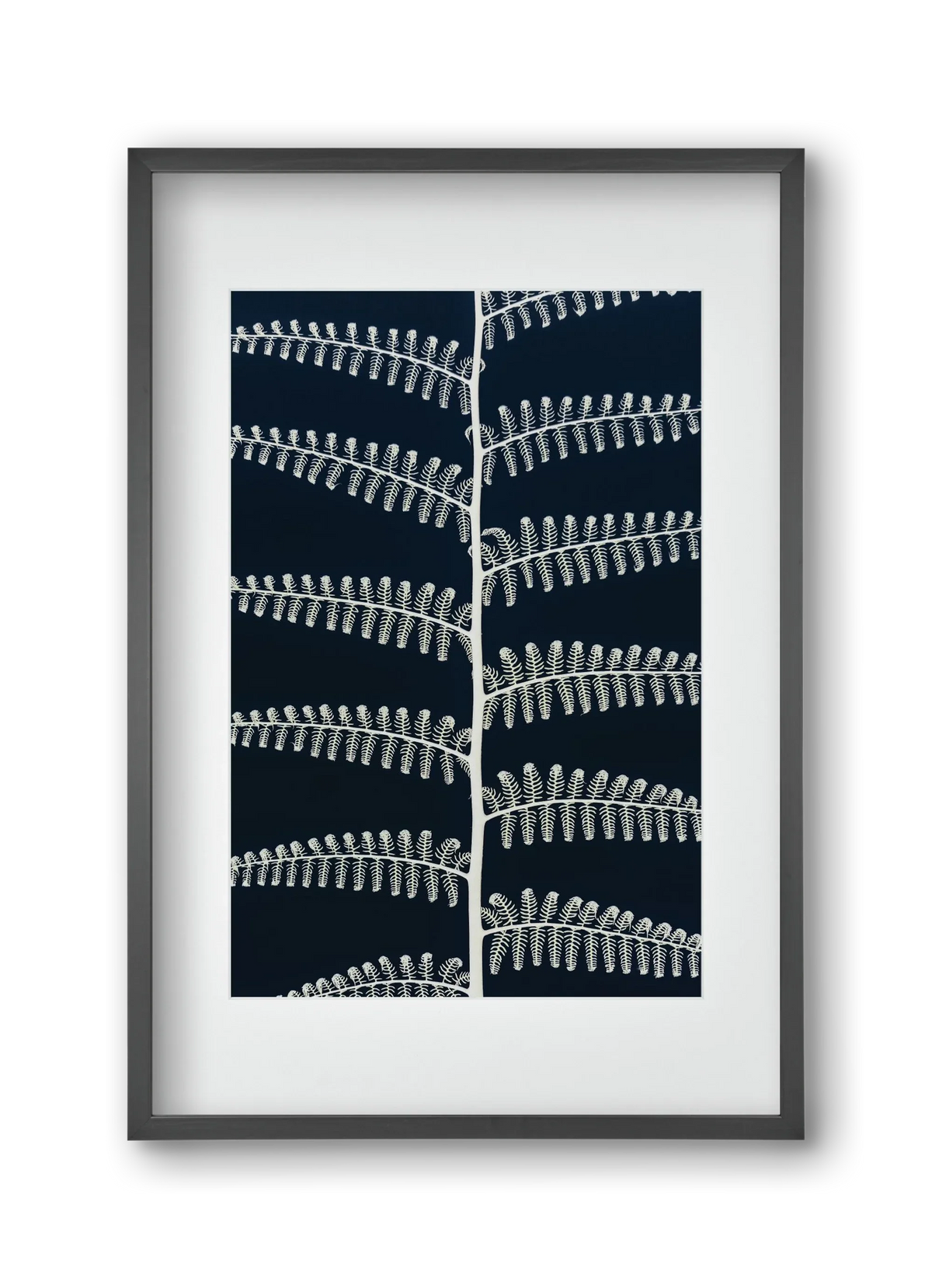 Fern - artbridge