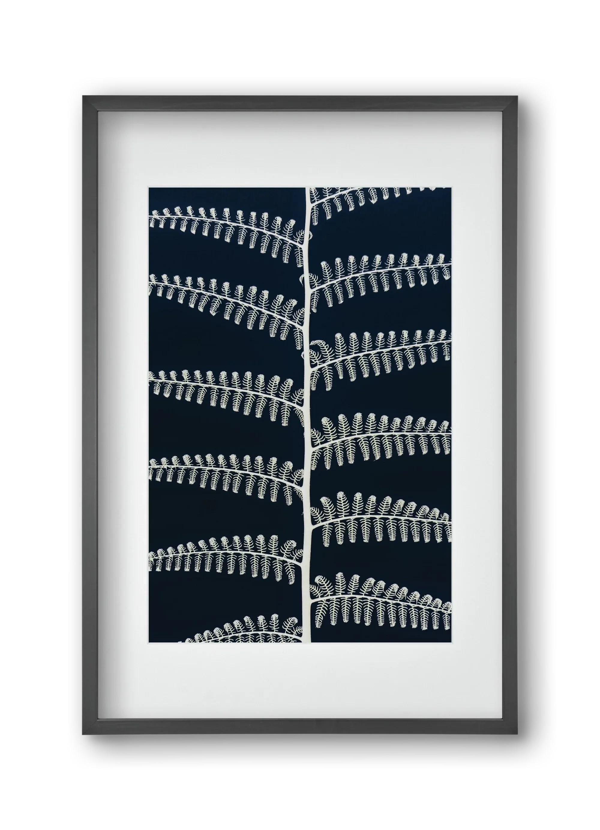 Fern - artbridge