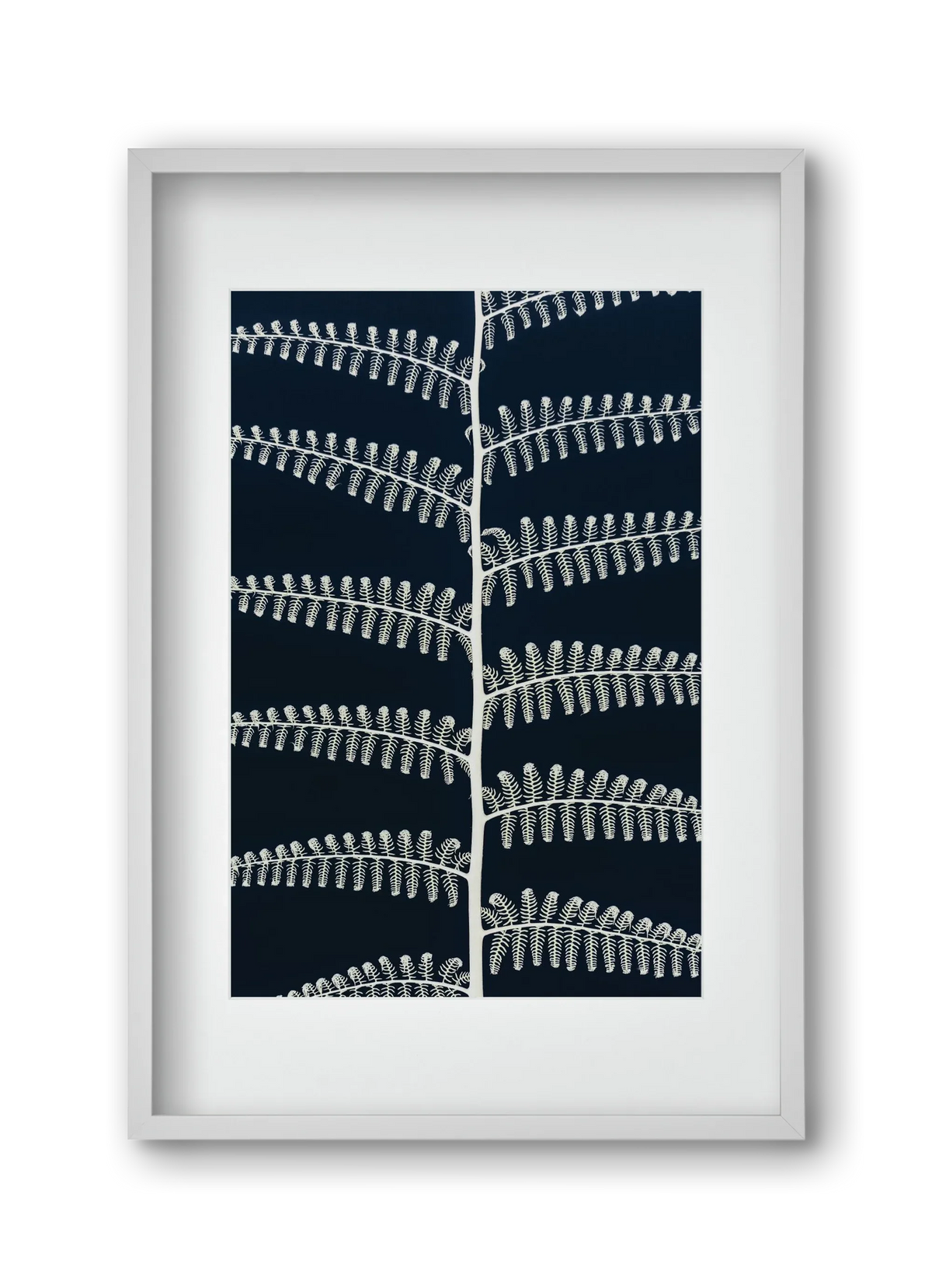 Fern - artbridge