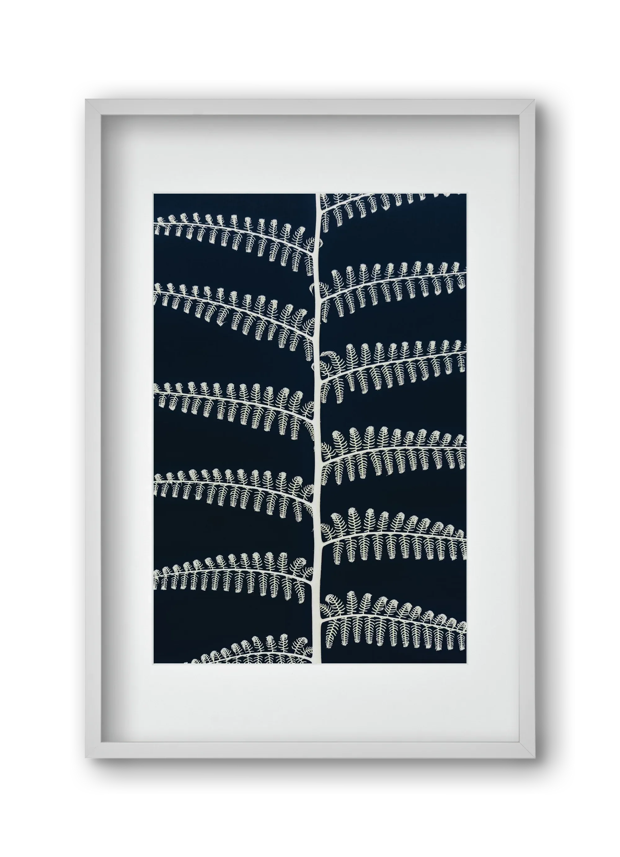 Fern - artbridge
