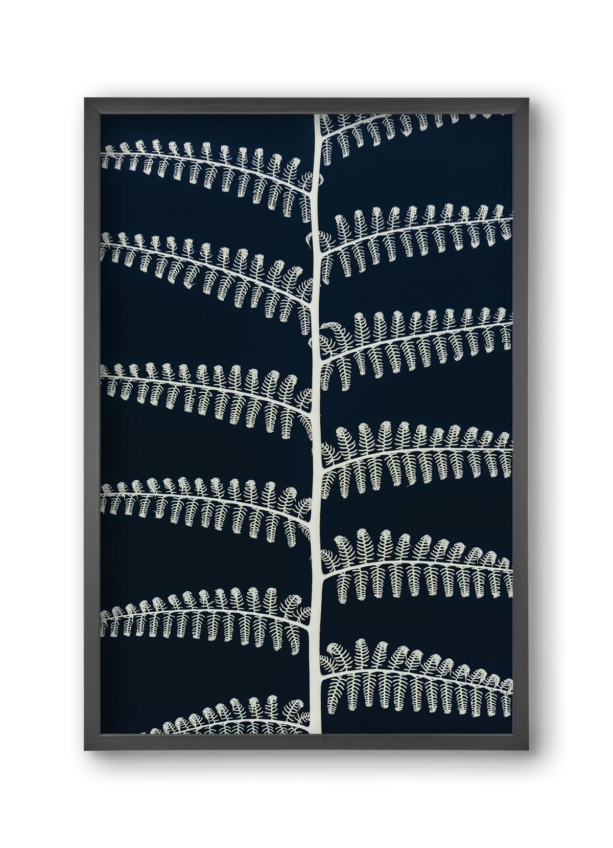 Fern - artbridge