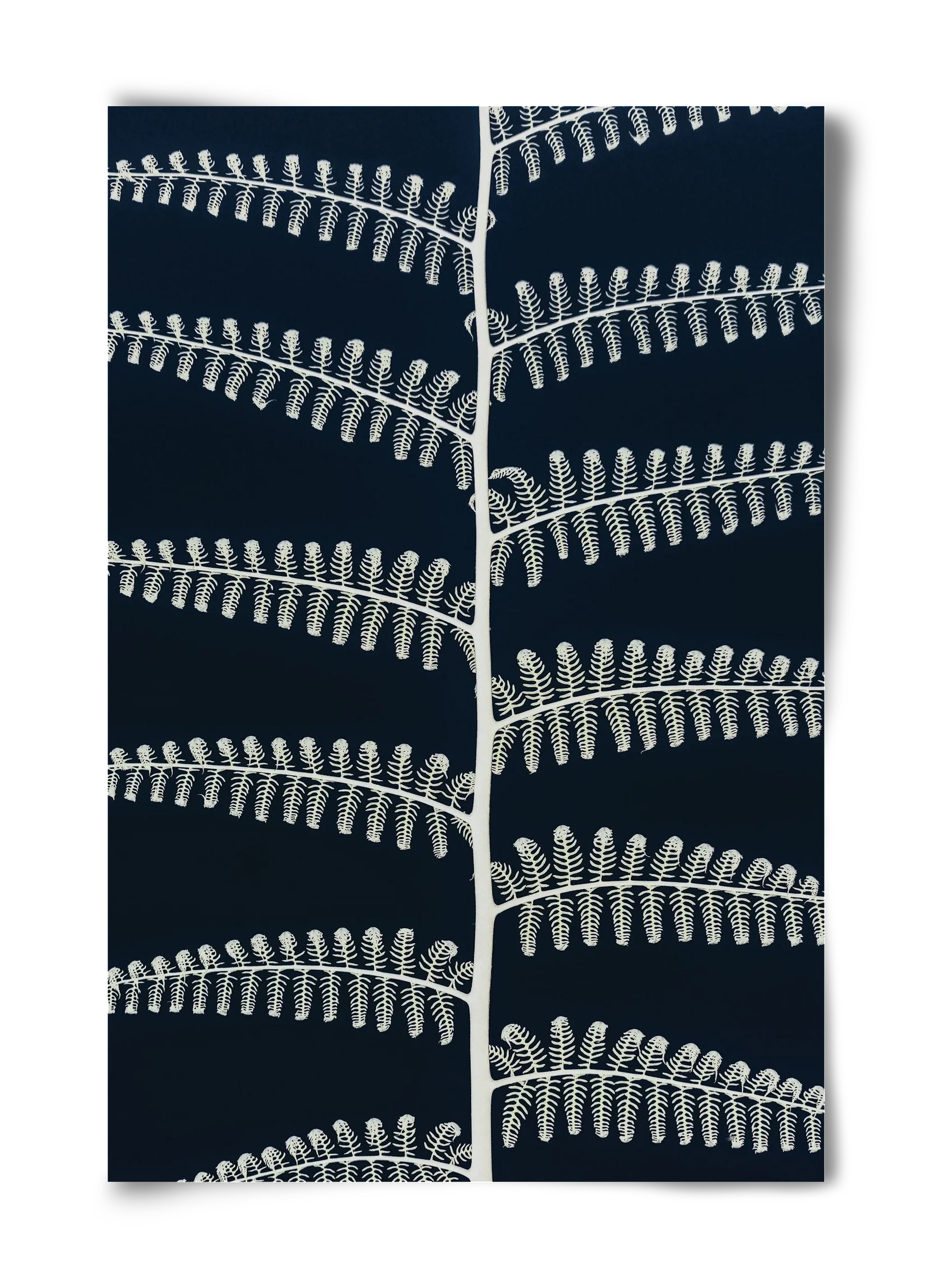 Fern - artbridge