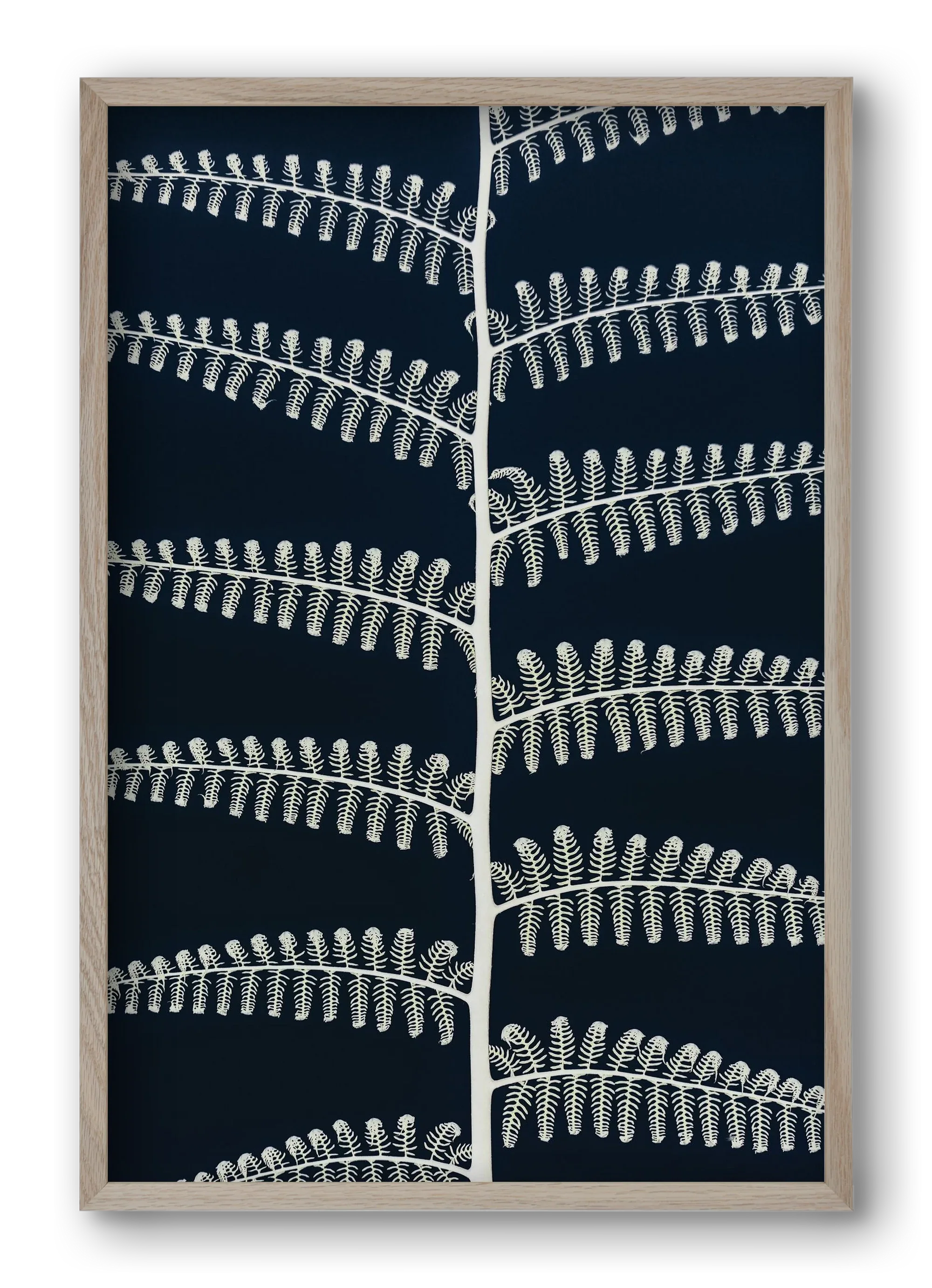Fern - artbridge