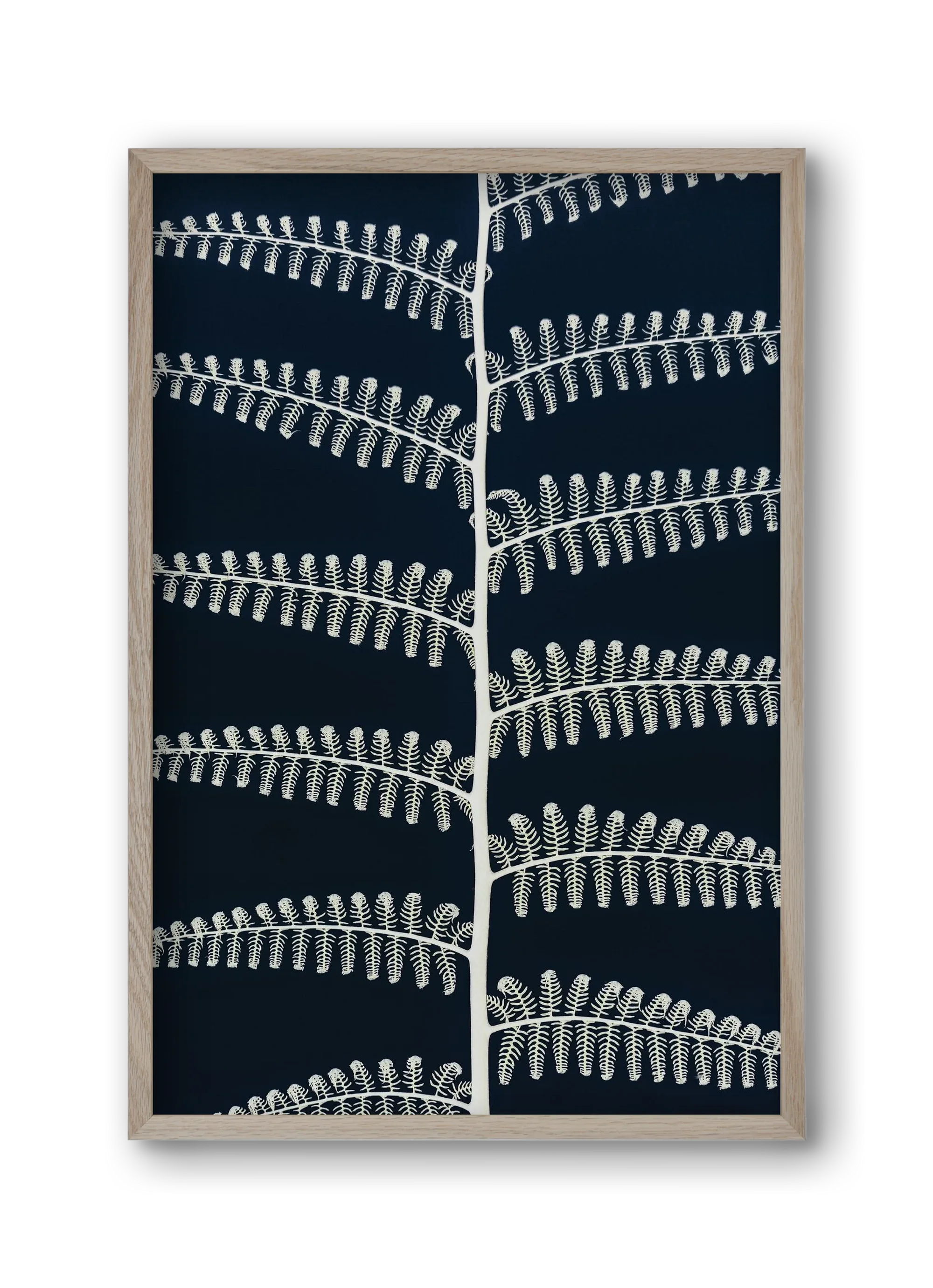Fern - artbridge