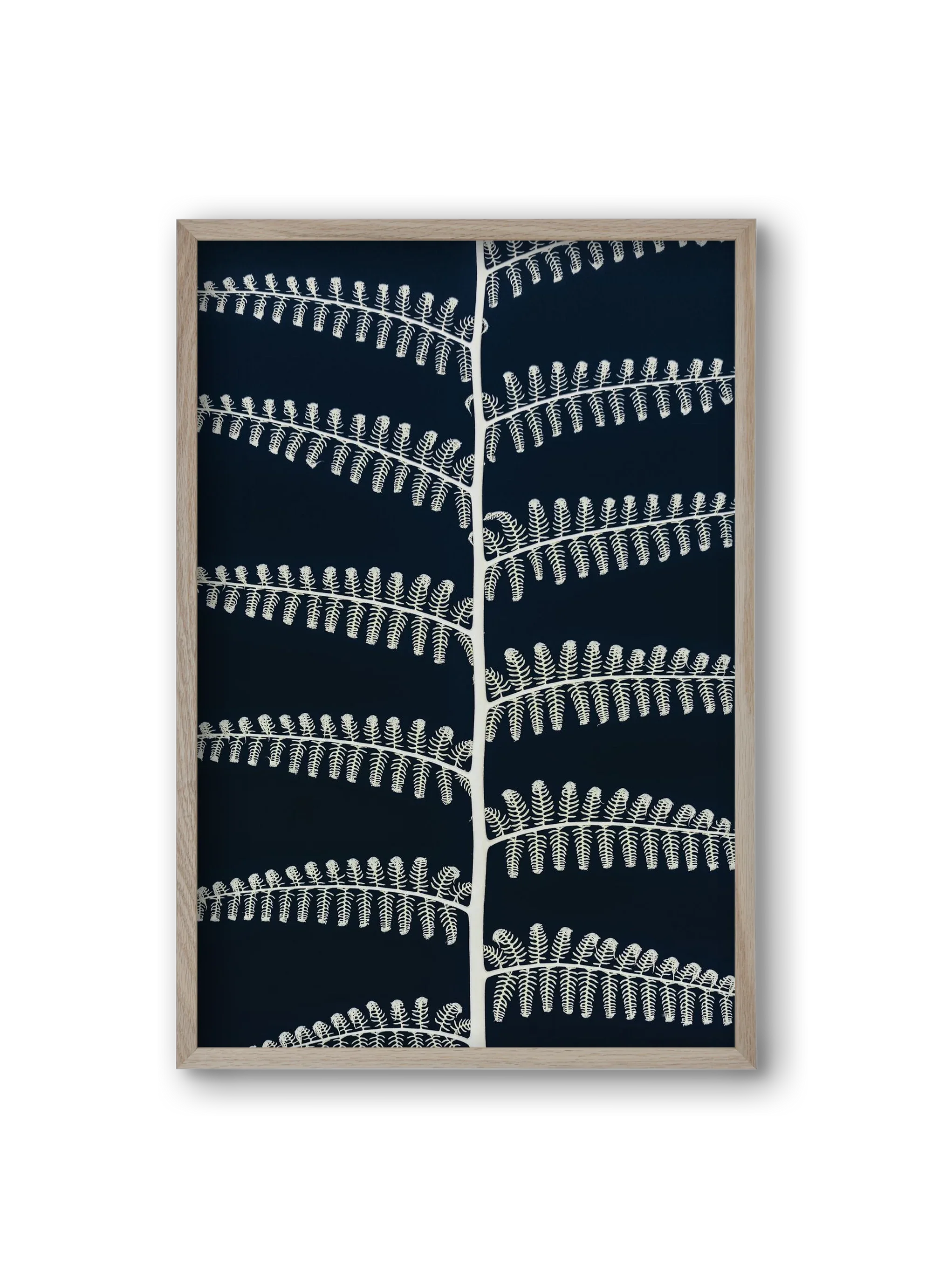 Fern - artbridge