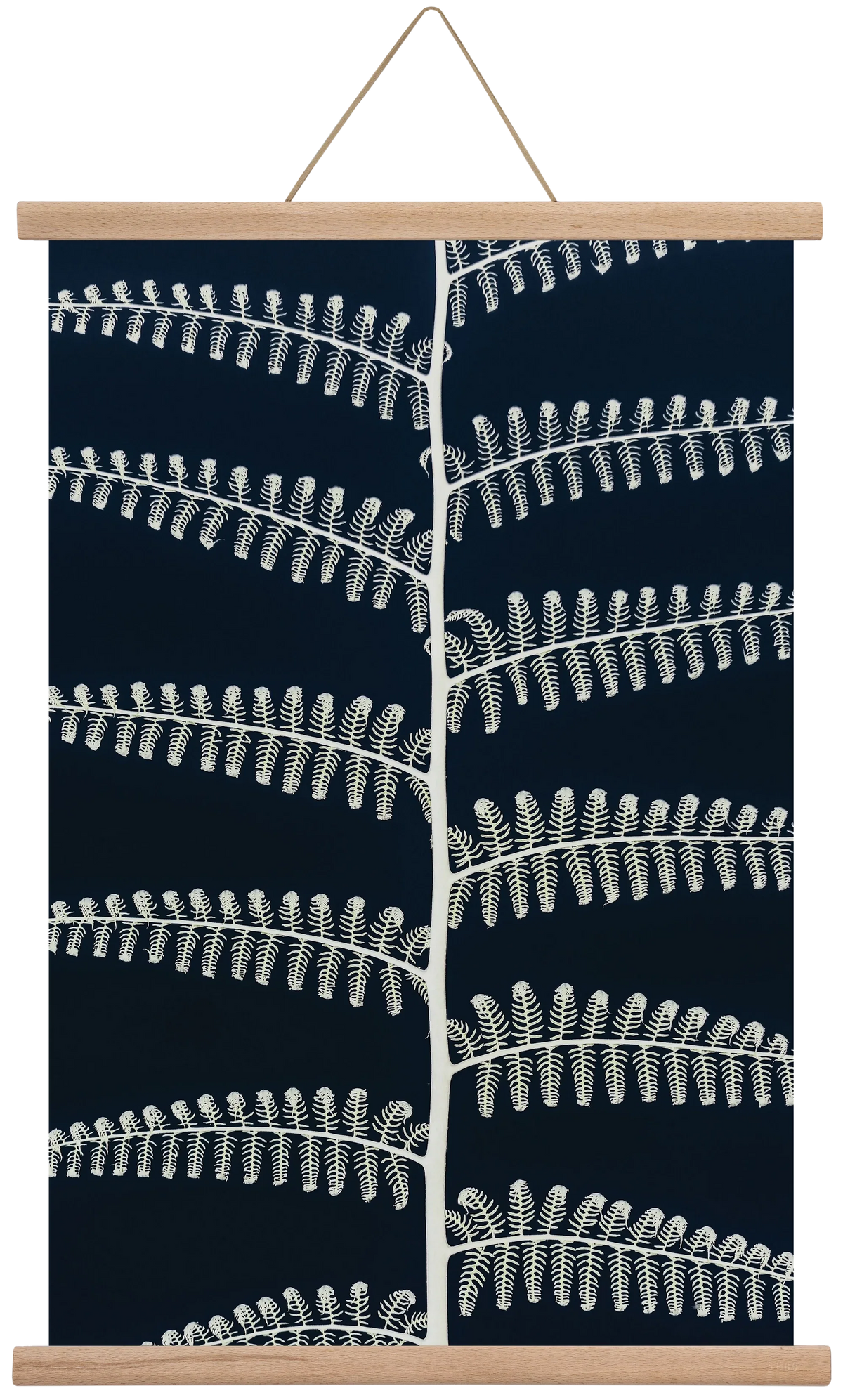 Fern - artbridge