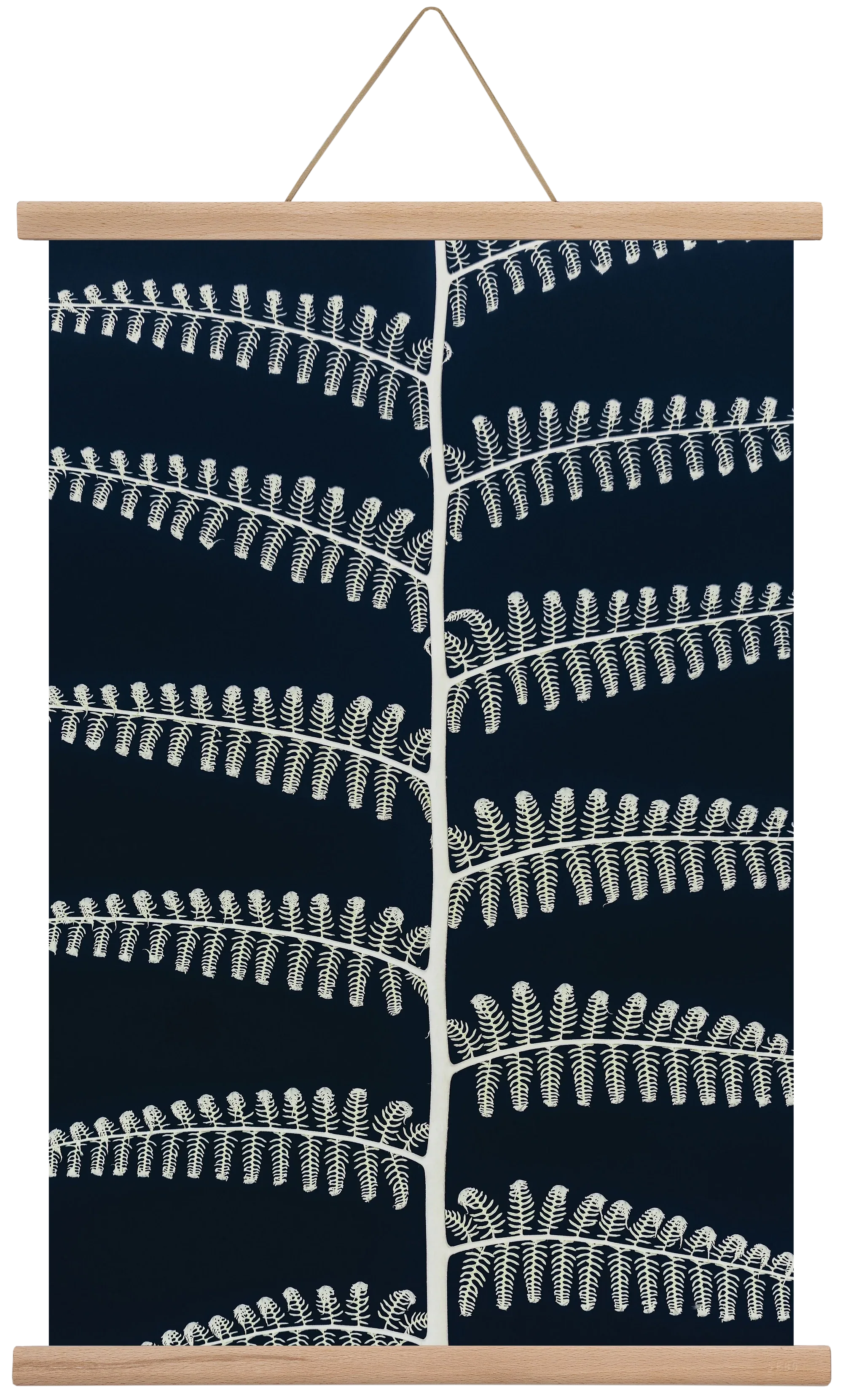 Fern - artbridge