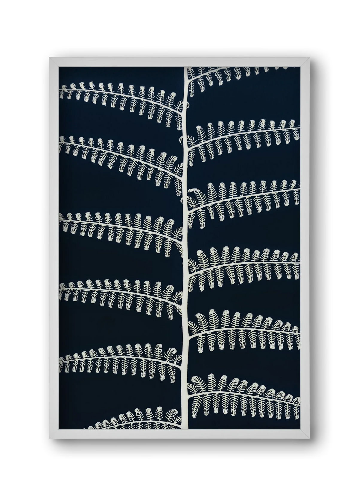 Fern - artbridge