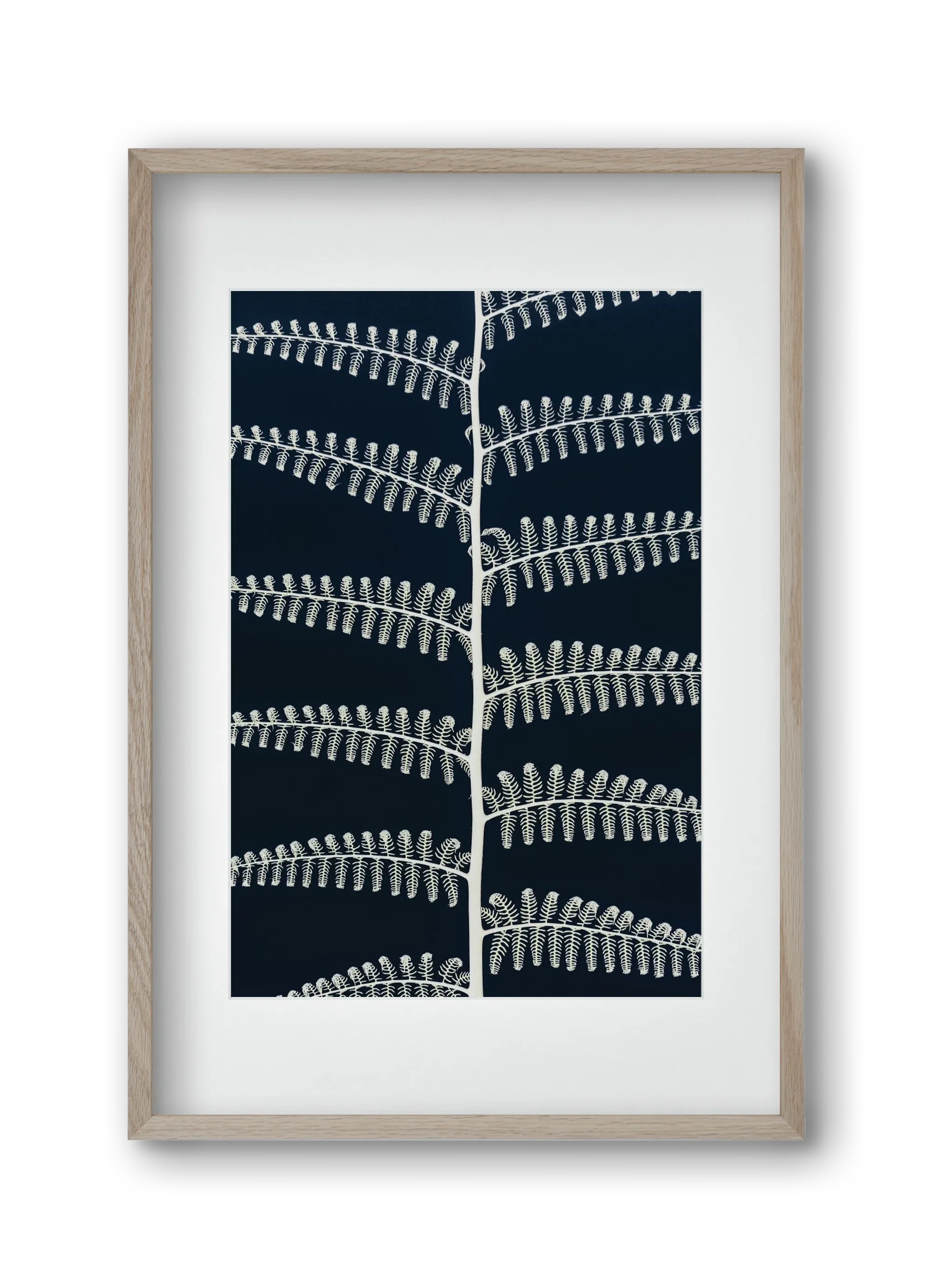 Fern - artbridge