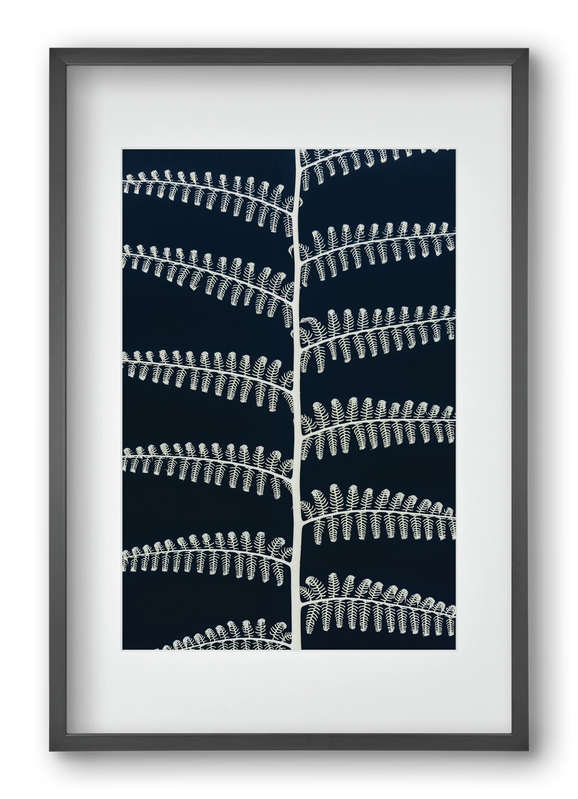 Fern - artbridge