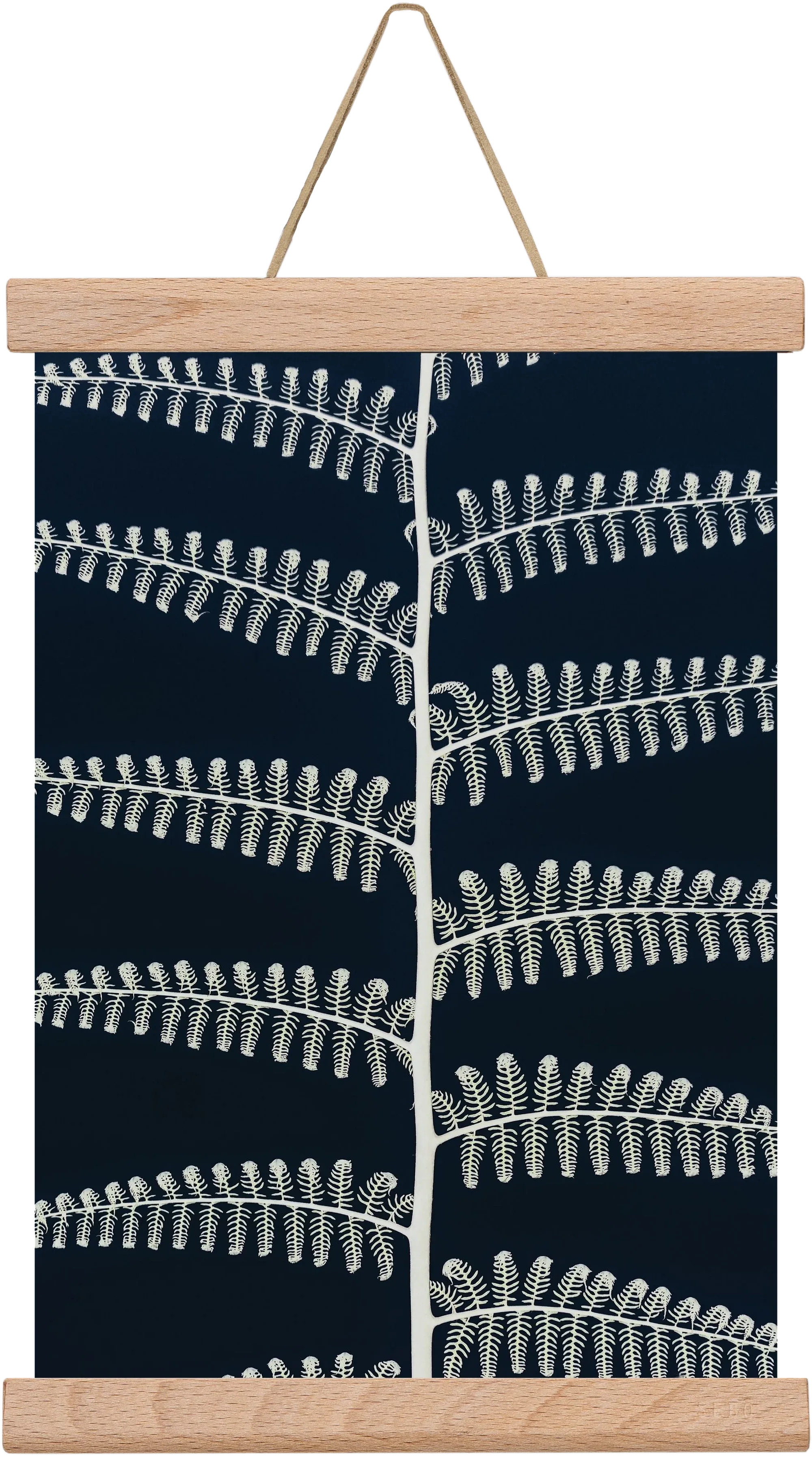 Fern - artbridge