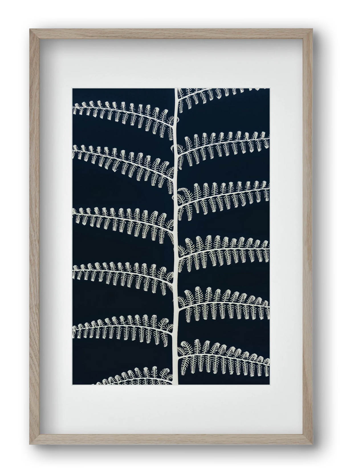 Fern - artbridge