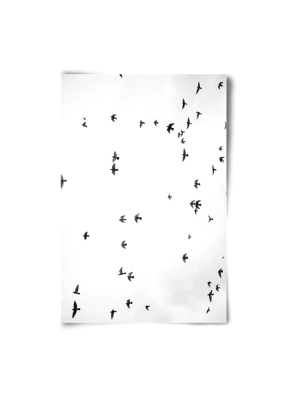 Flight and freedom - artbridge
