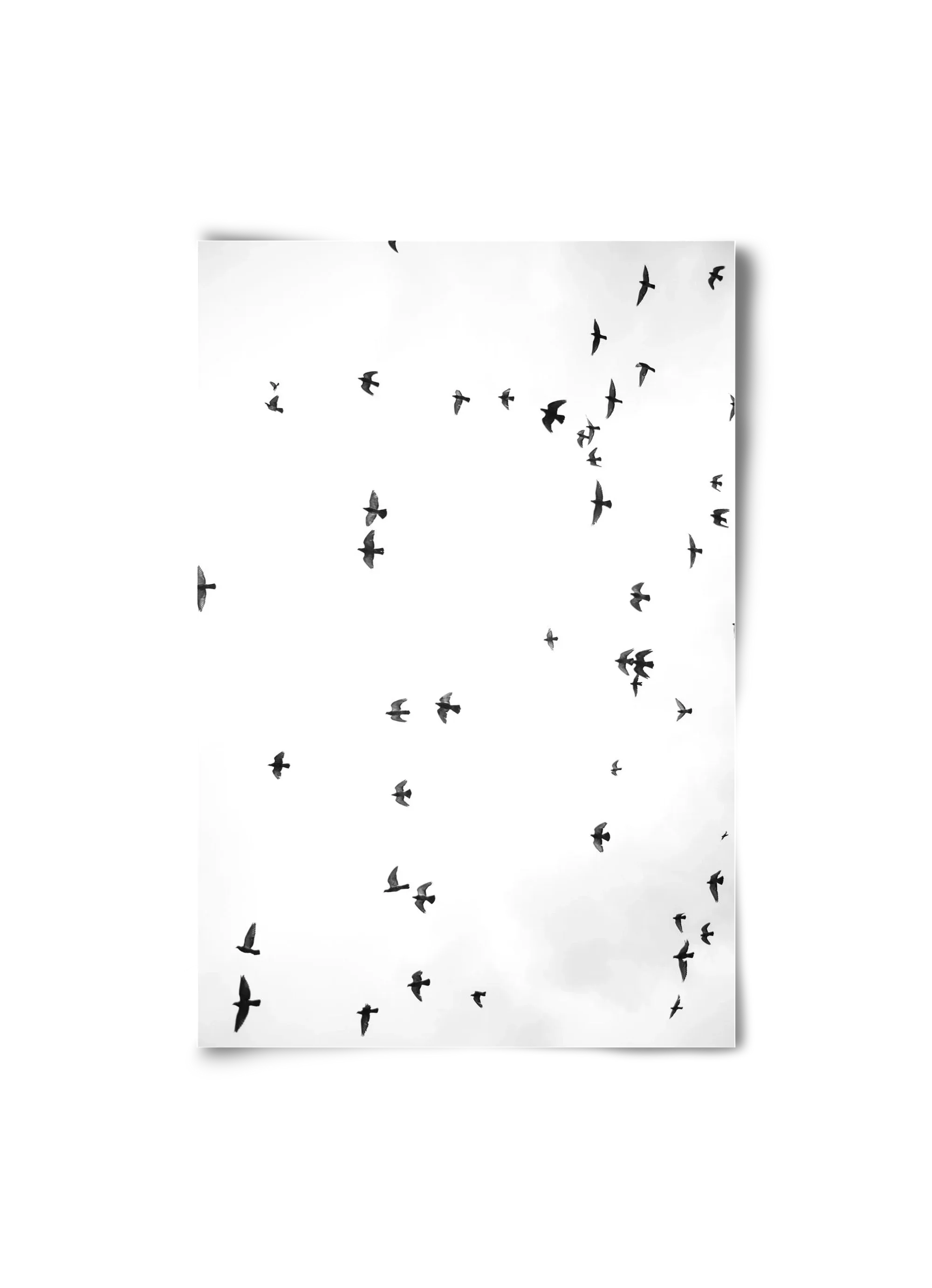 Flight and freedom - artbridge