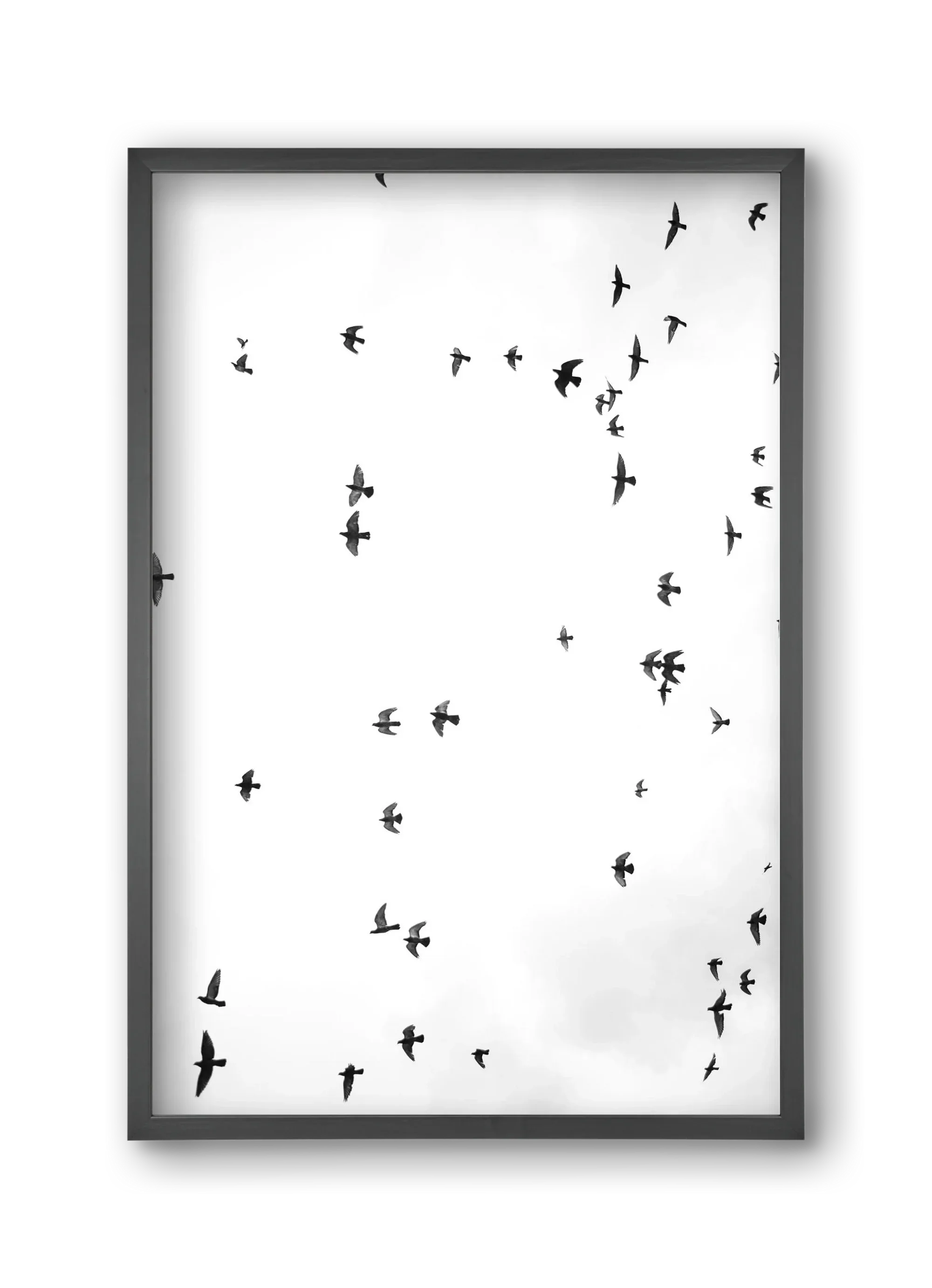 Flight and freedom - artbridge