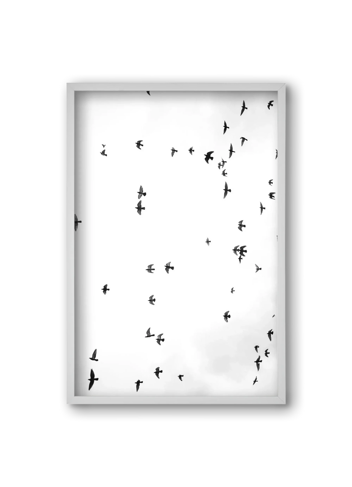 Flight and freedom - artbridge