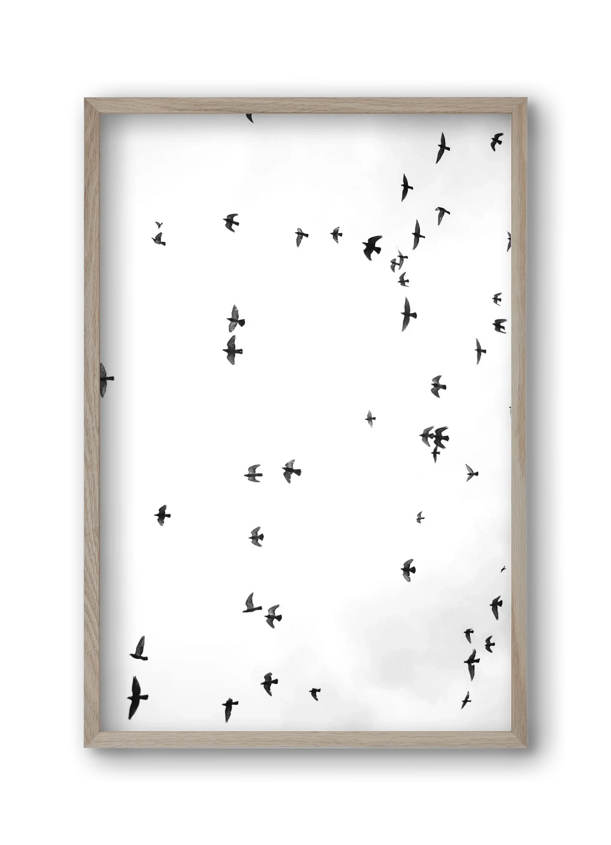 Flight and freedom - artbridge