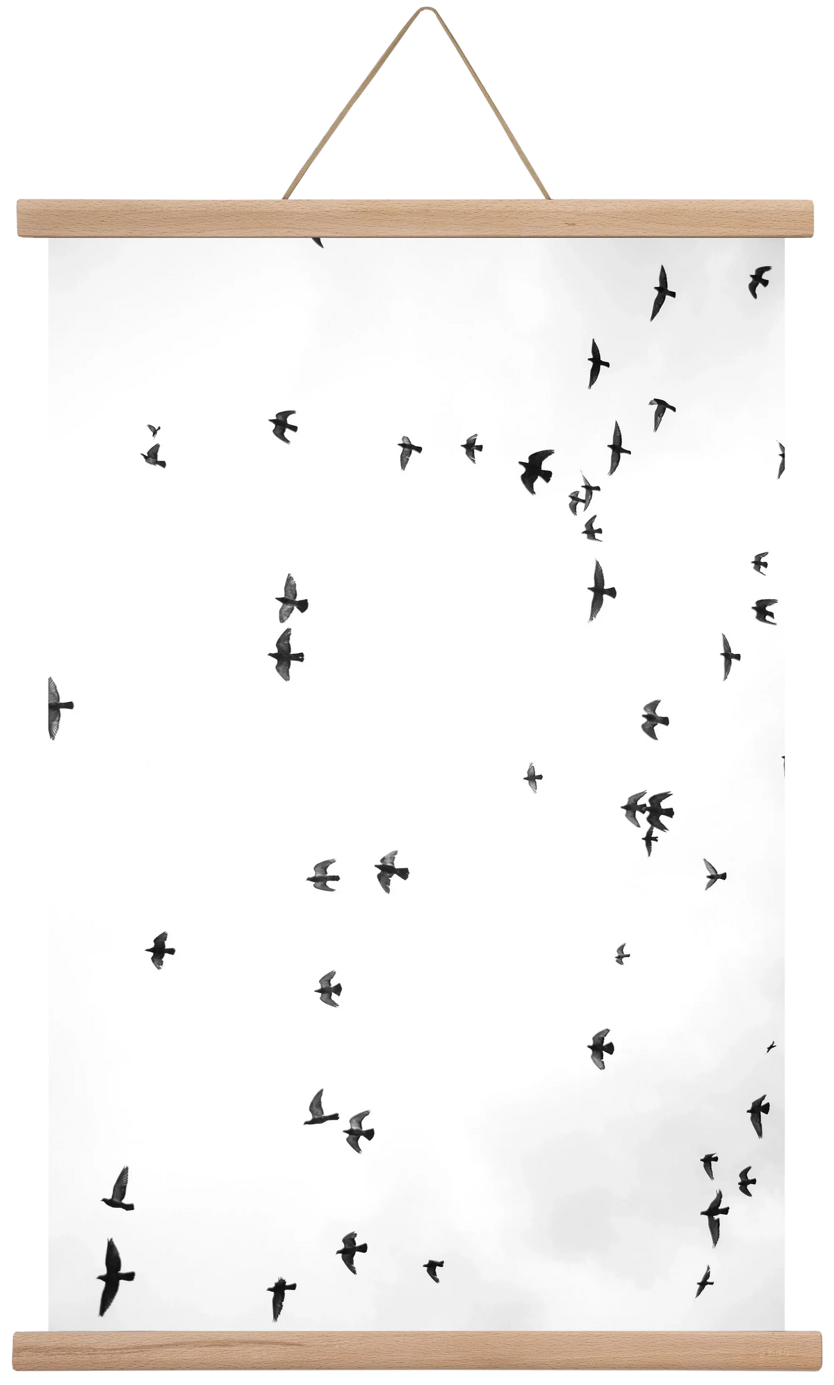 Flight and freedom - artbridge