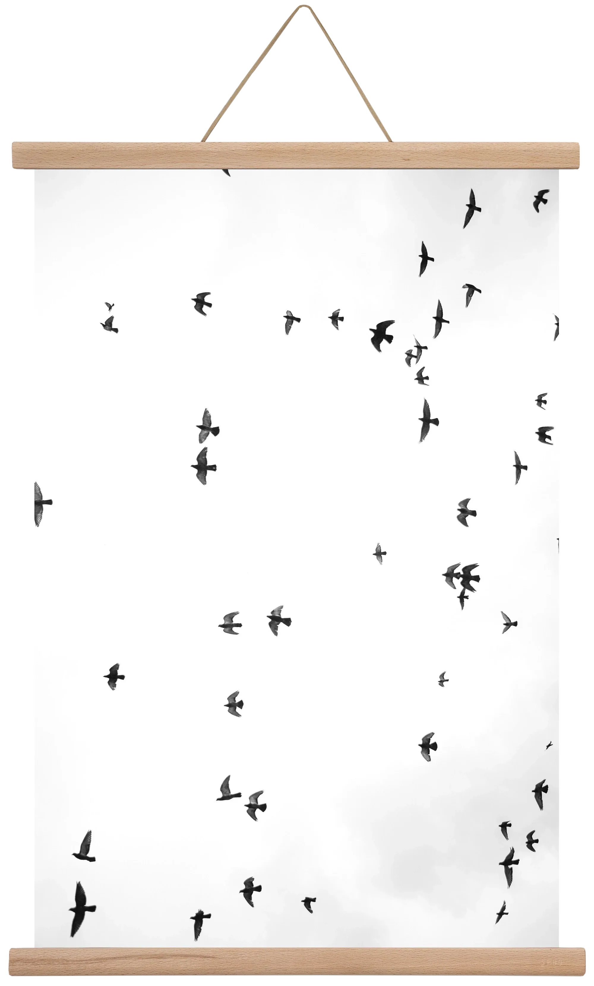 Flight and freedom - artbridge