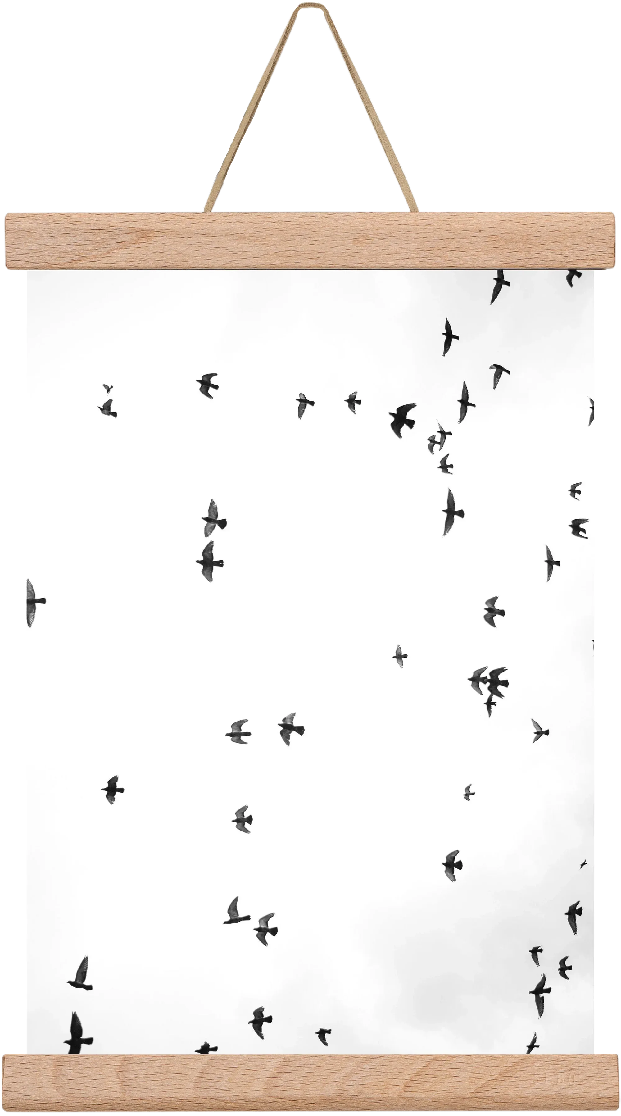 Flight and freedom - artbridge