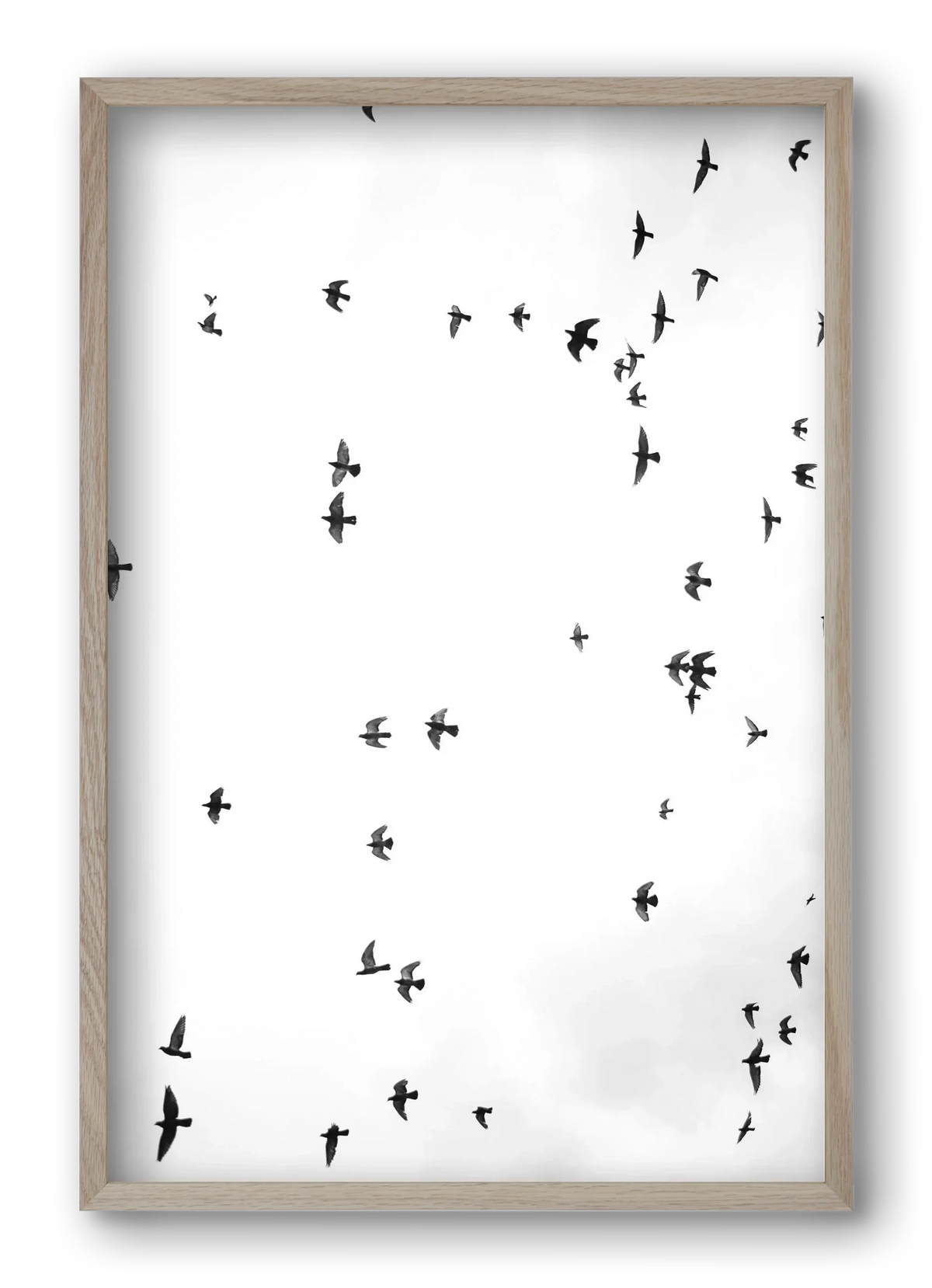 Flight and freedom - artbridge