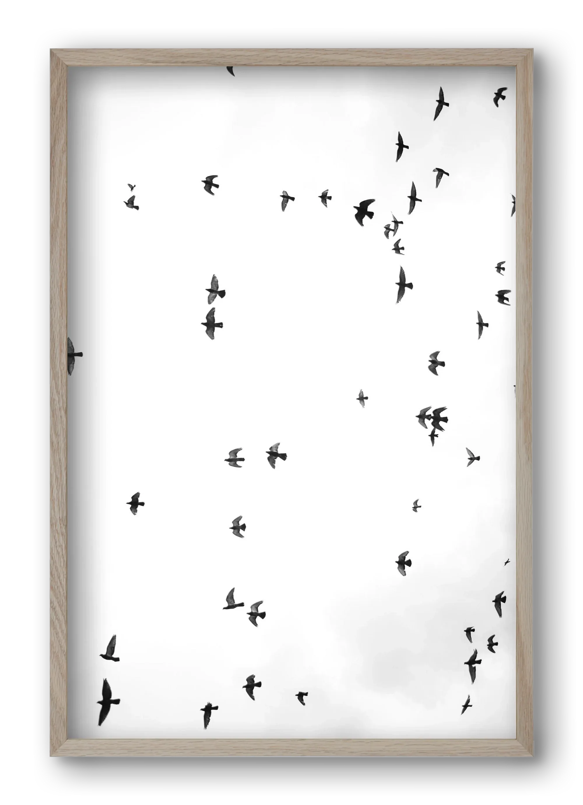 Flight and freedom - artbridge