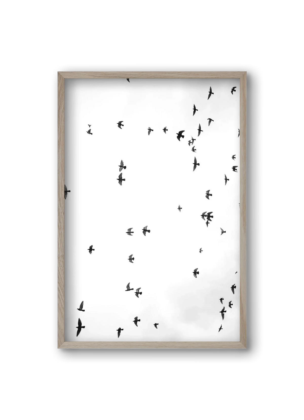 Flight and freedom - artbridge