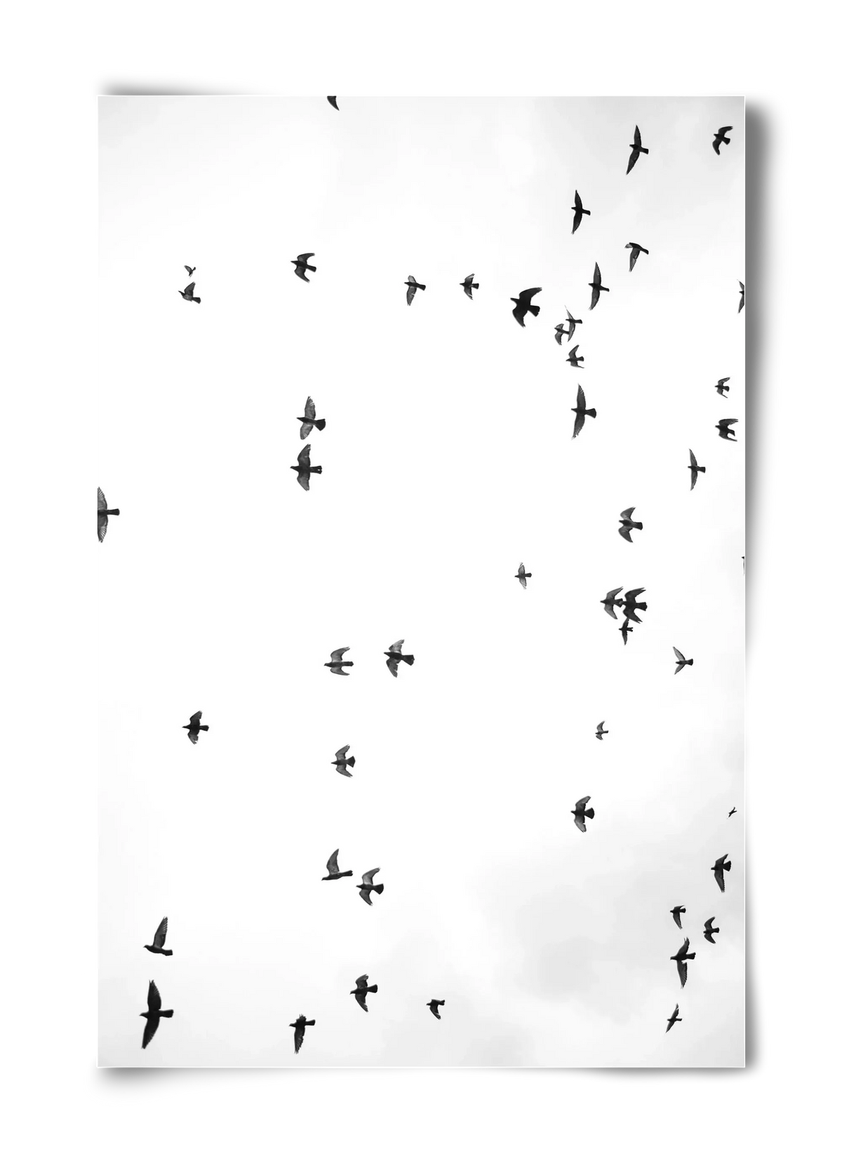 Flight and freedom - artbridge