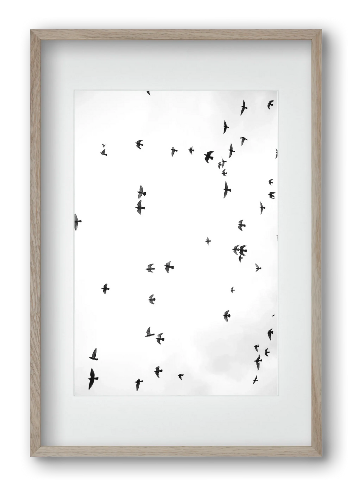 Flight and freedom - artbridge