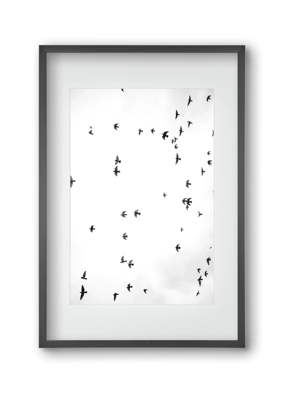 Flight and freedom - artbridge