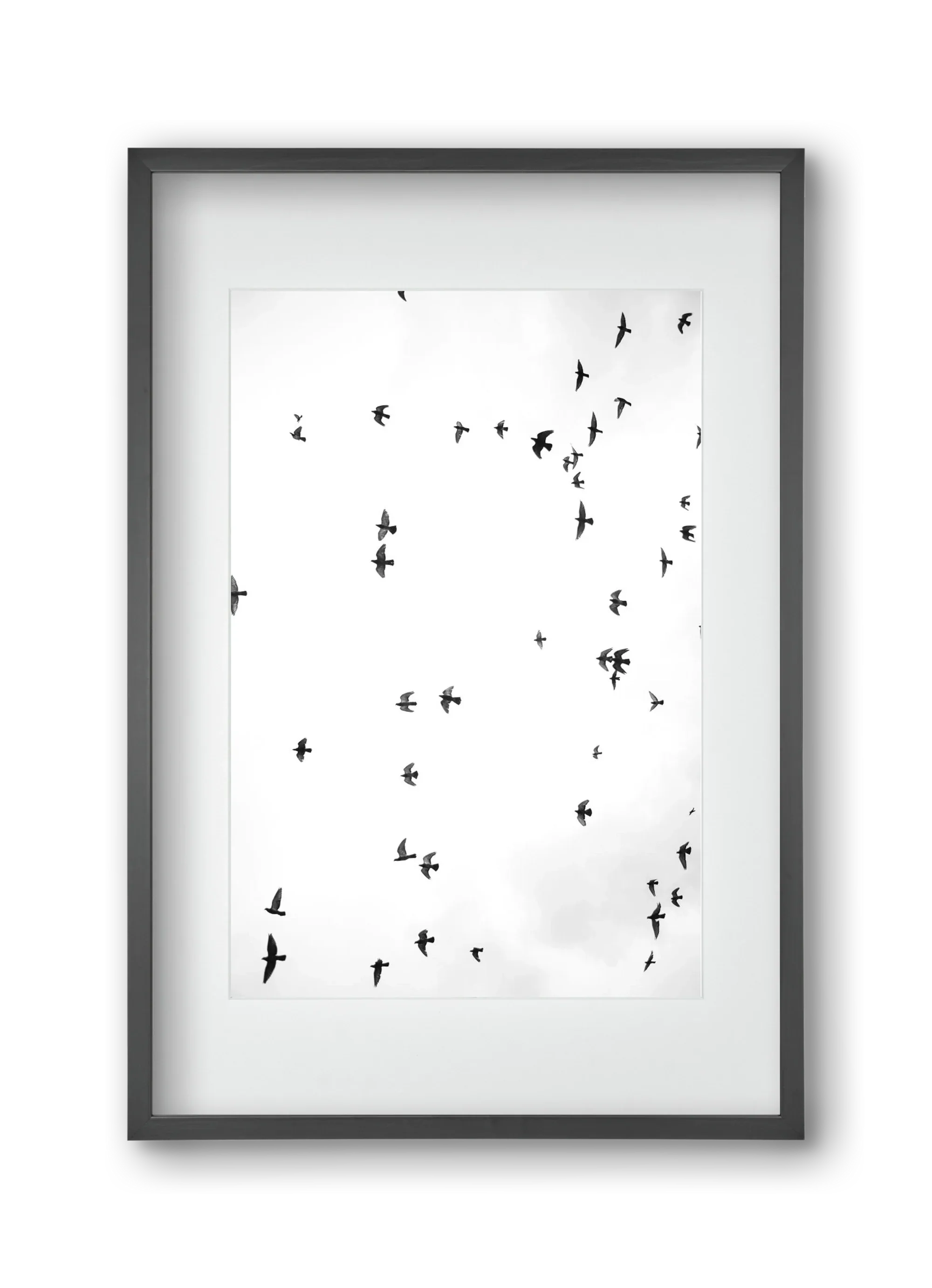 Flight and freedom - artbridge