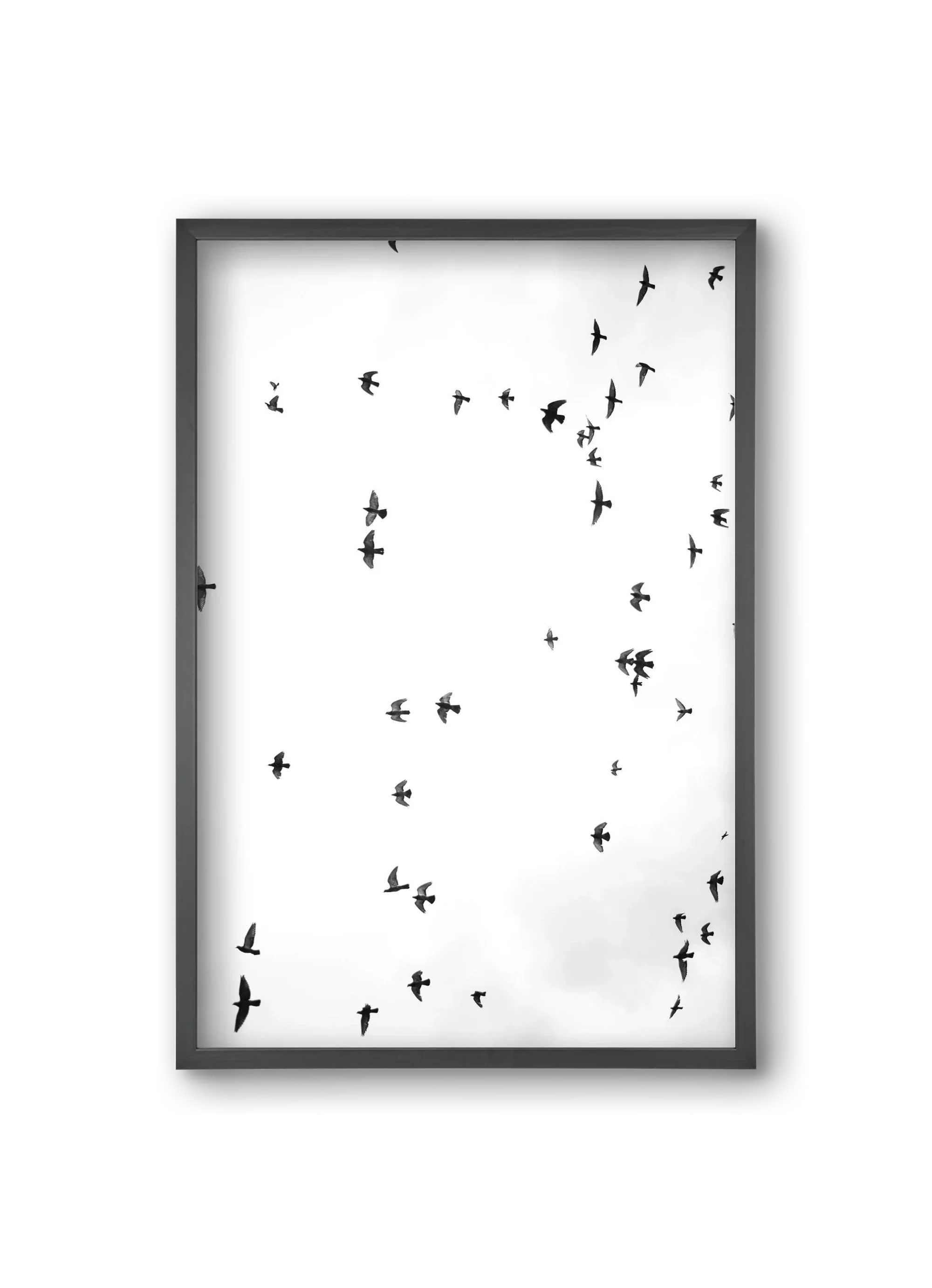 Flight and freedom - artbridge