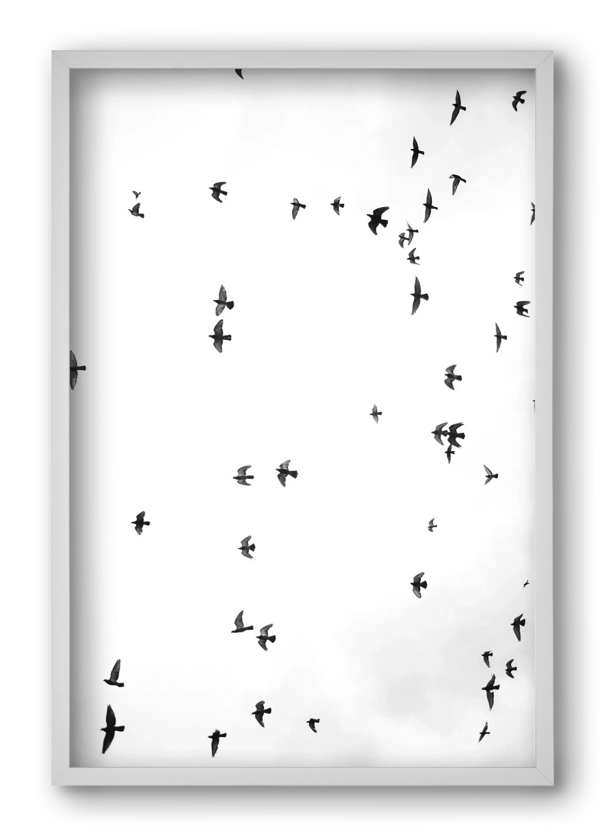 Flight and freedom - artbridge