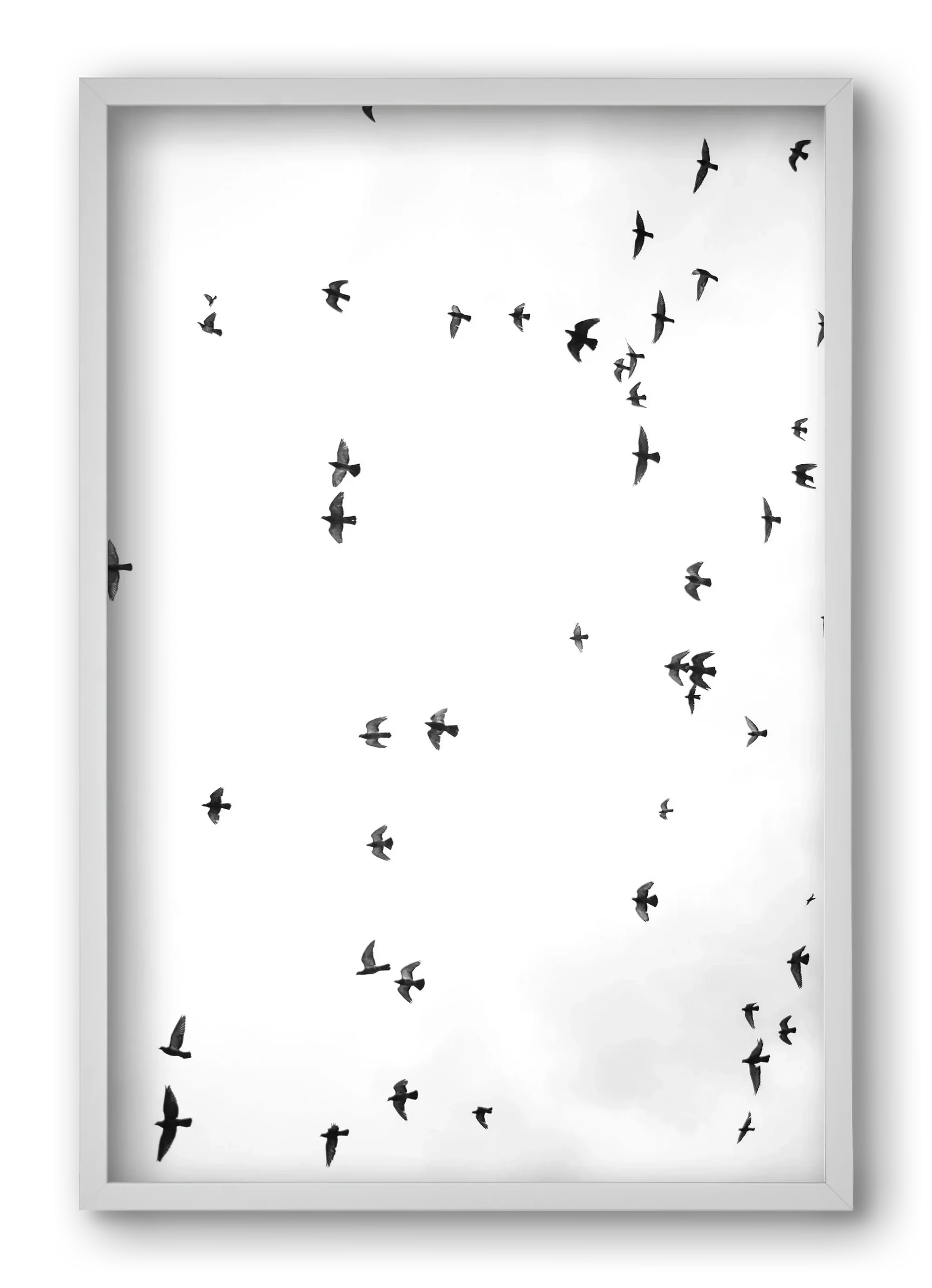 Flight and freedom - artbridge