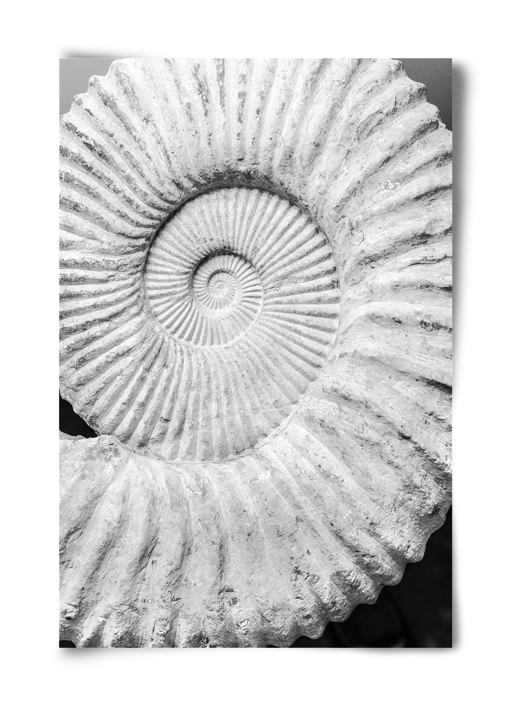 Formula - artbridge