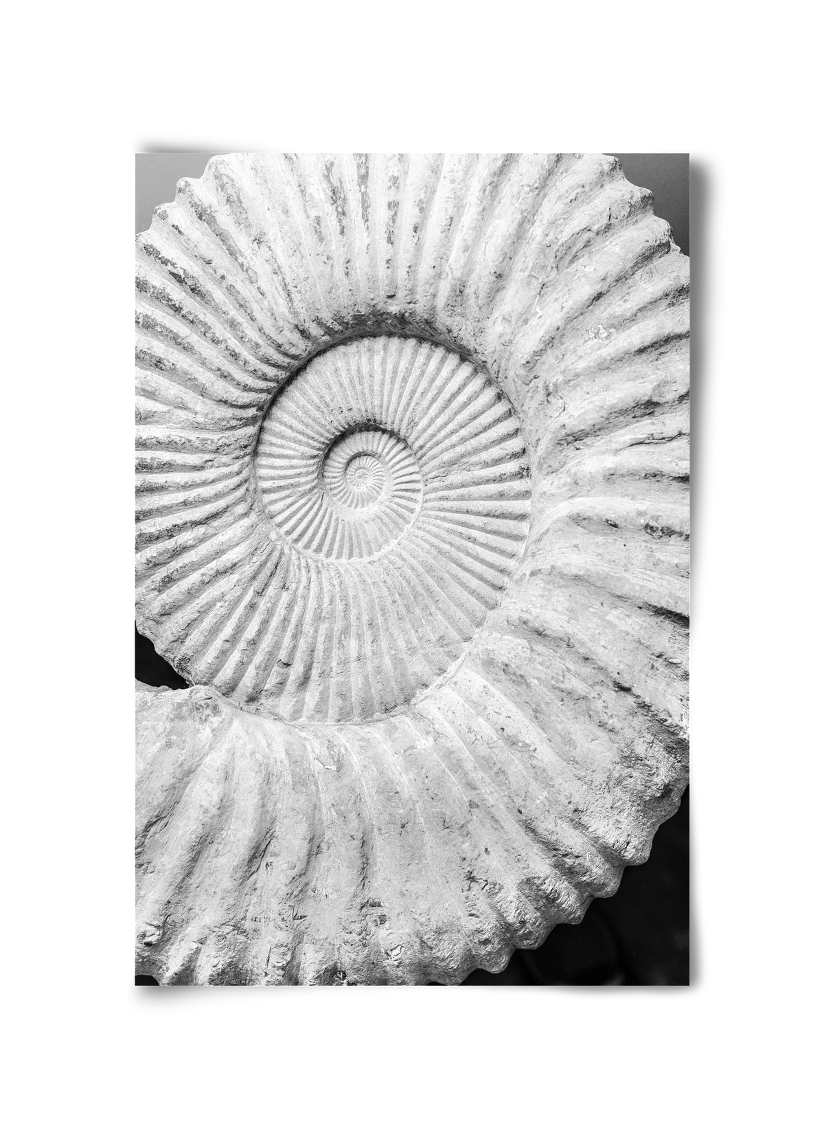 Formula - artbridge