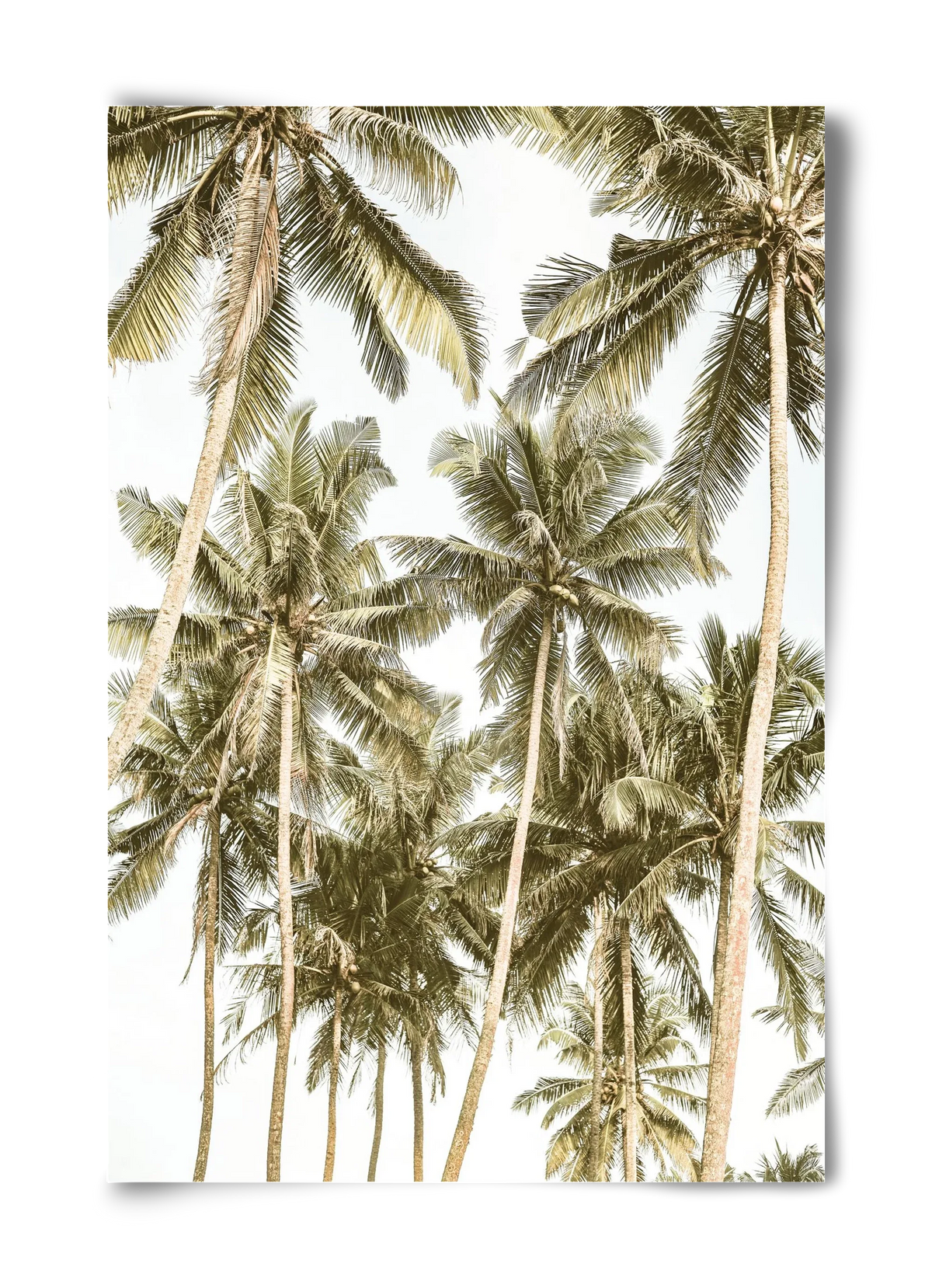 Island bliss - artbridge