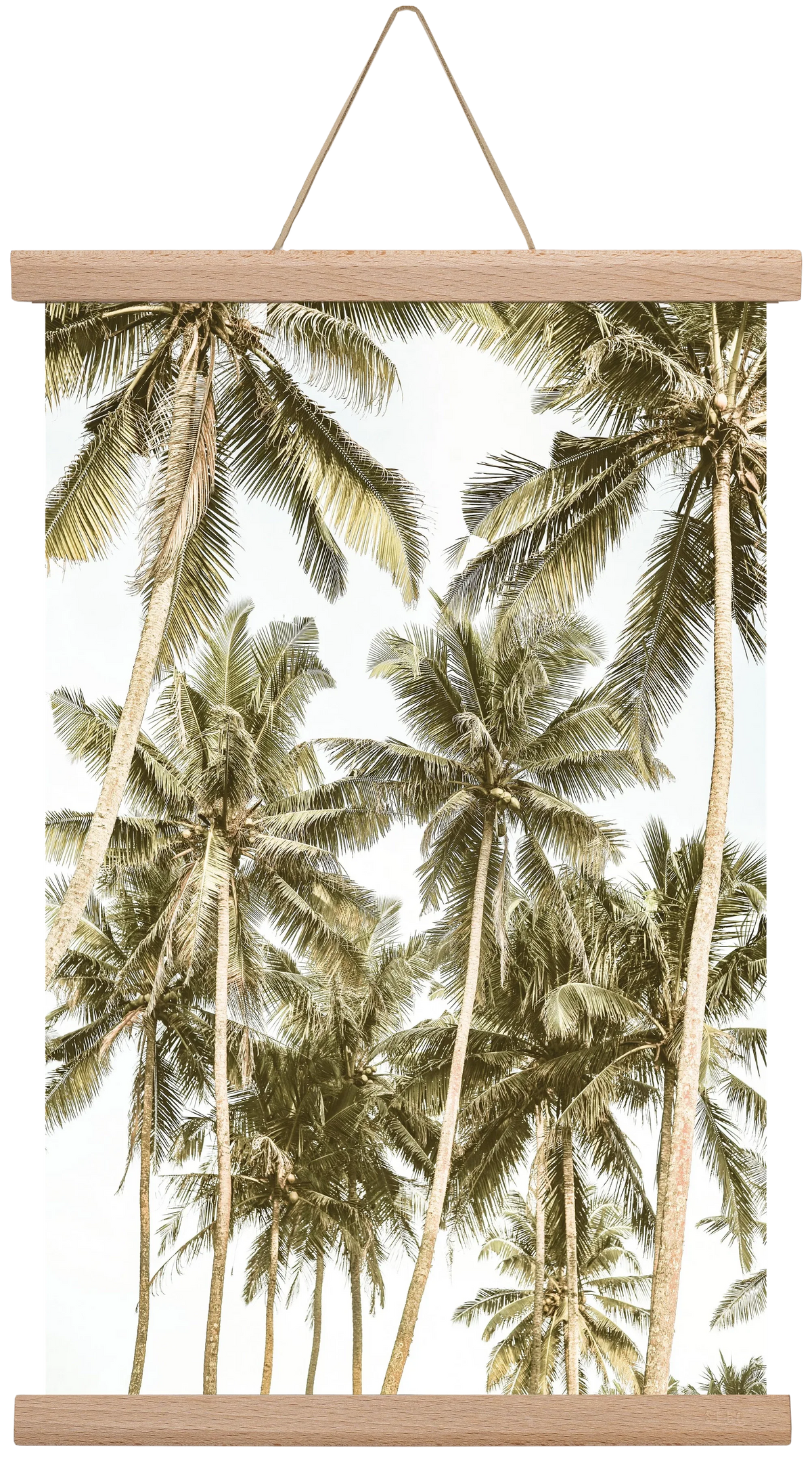 Island bliss - artbridge