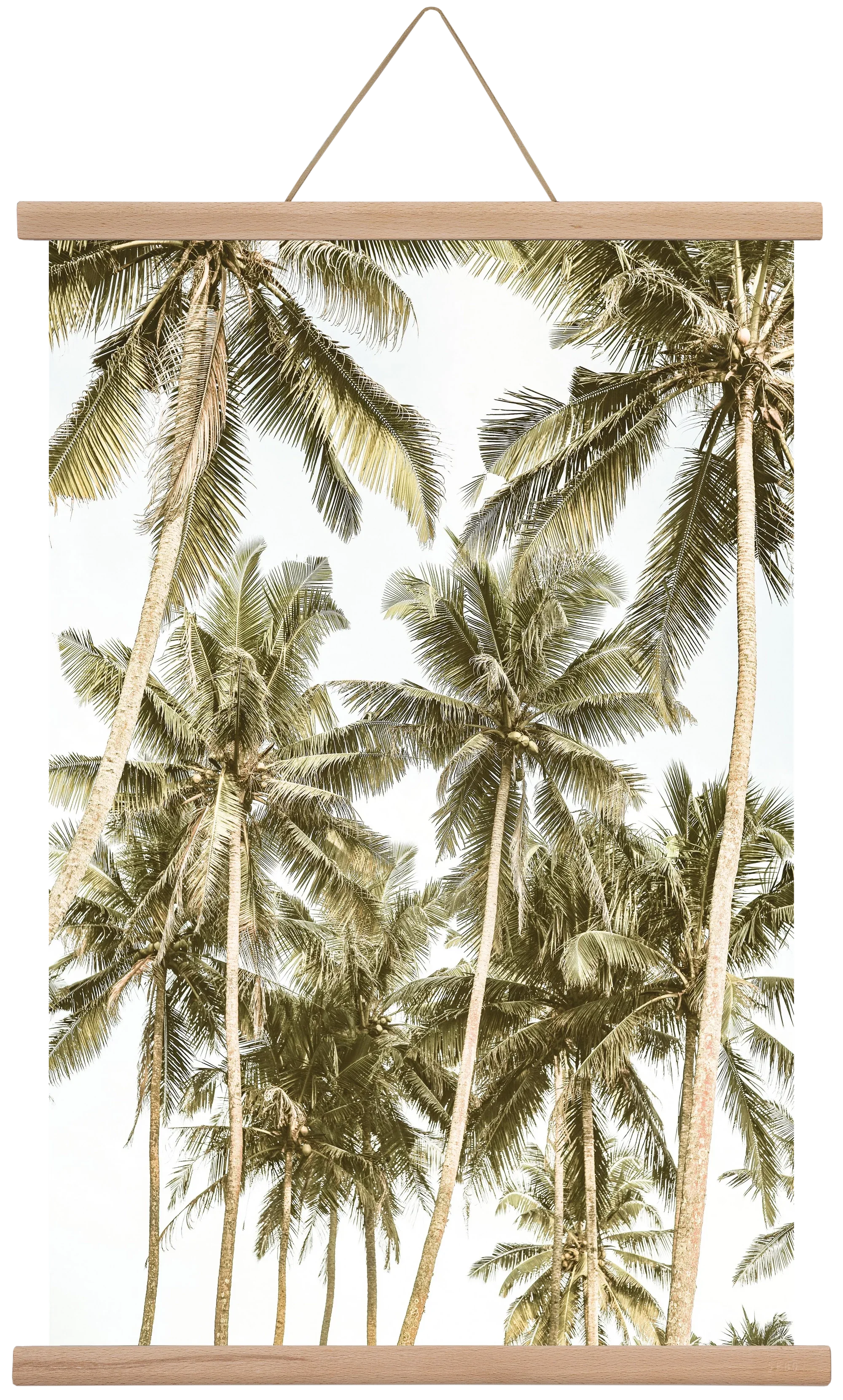 Island bliss - artbridge