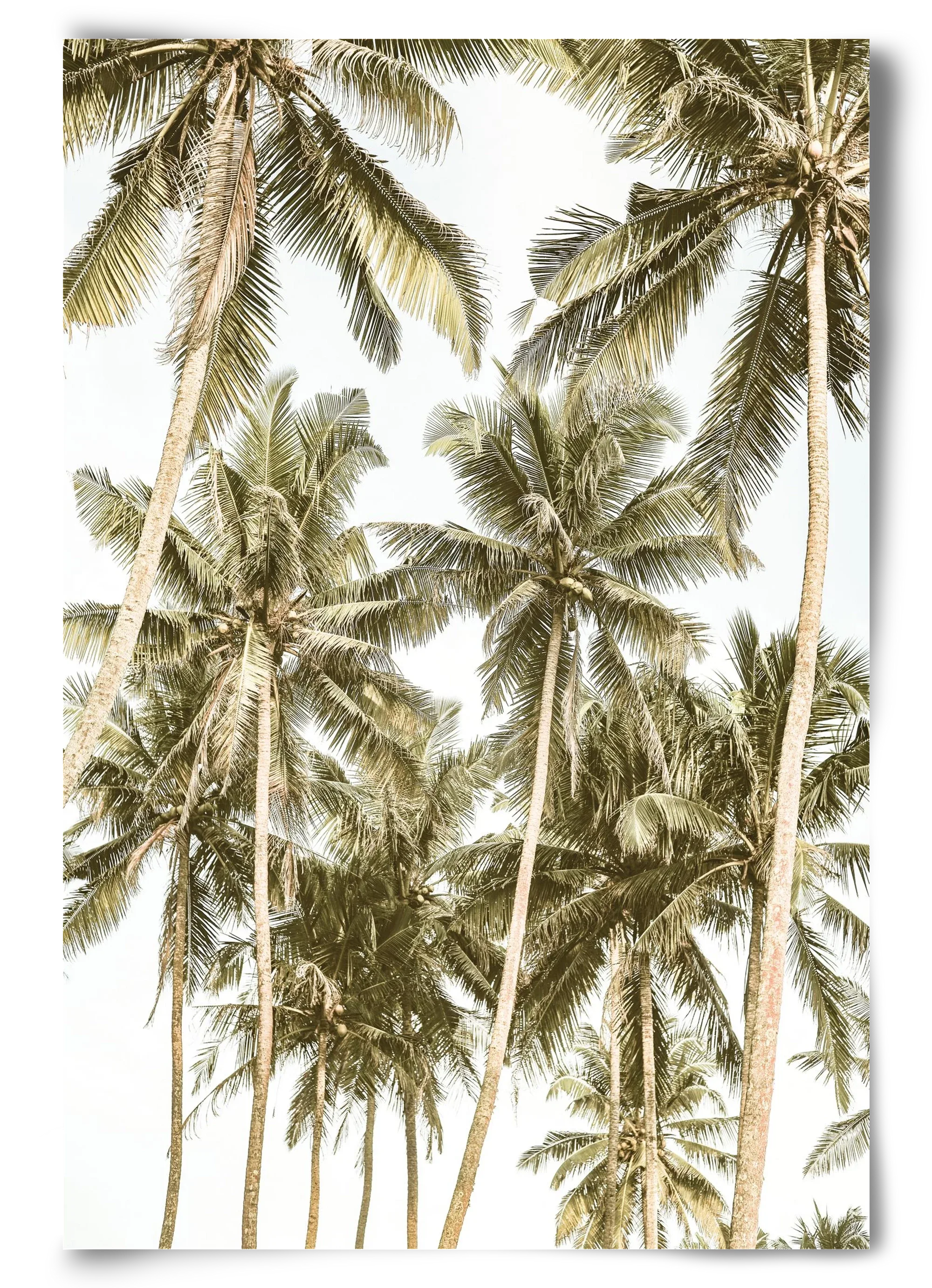 Island bliss - artbridge