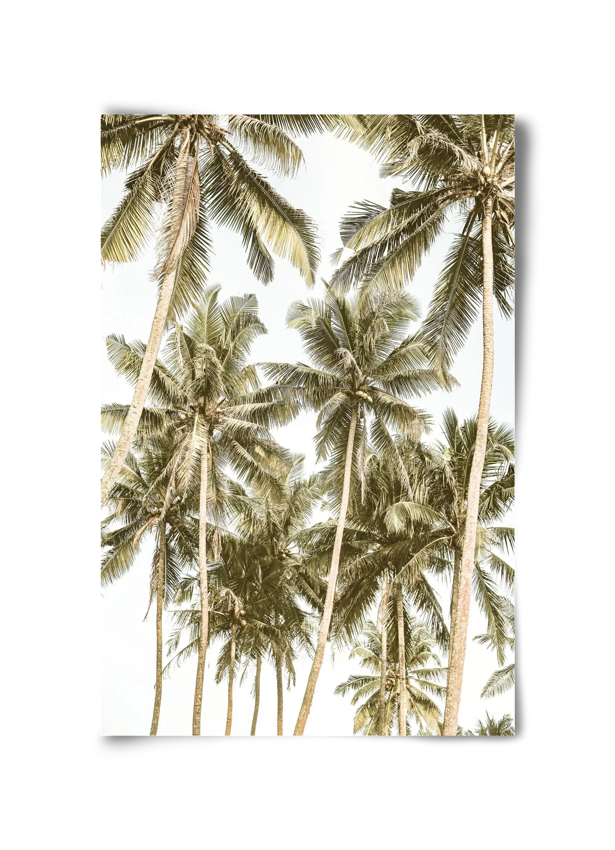 Island bliss - artbridge