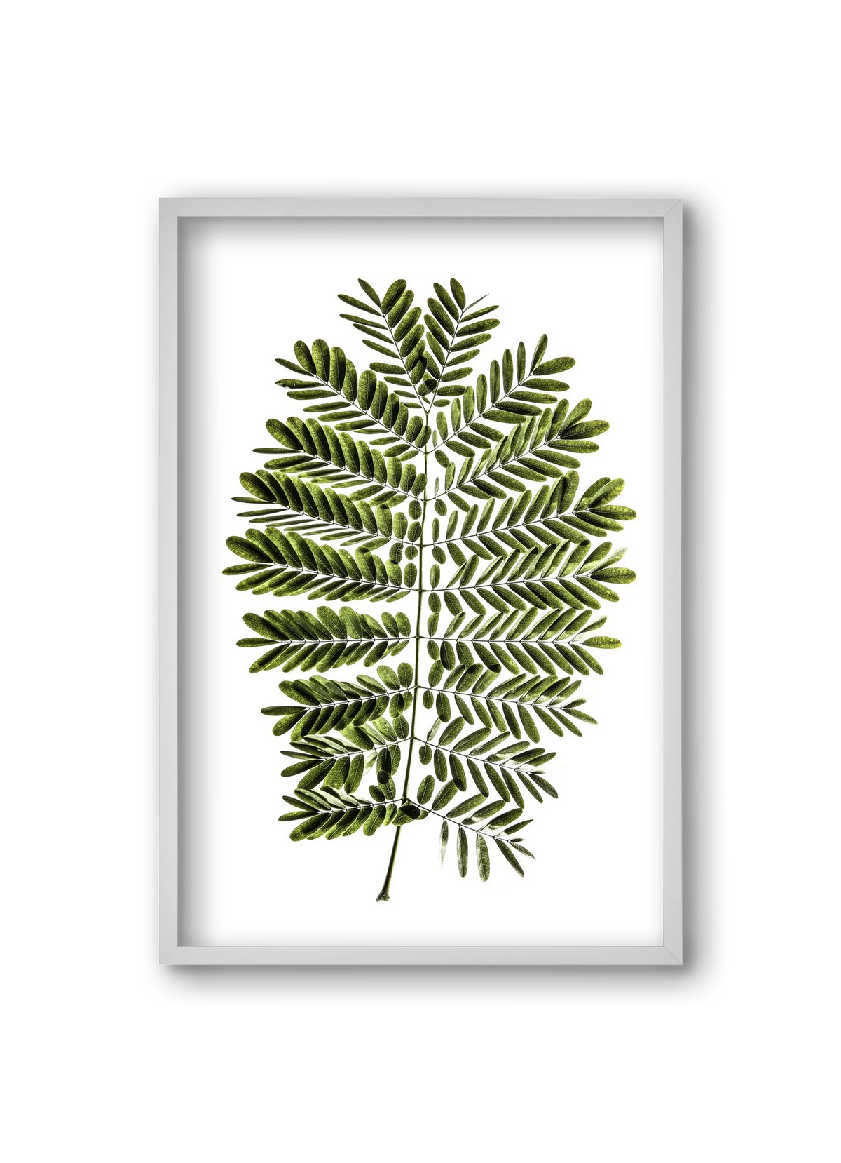 Leaf study - artbridge