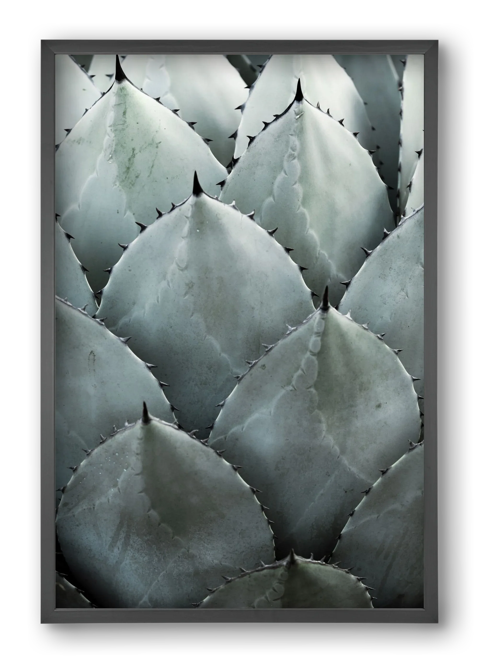 My mint moment - artbridge