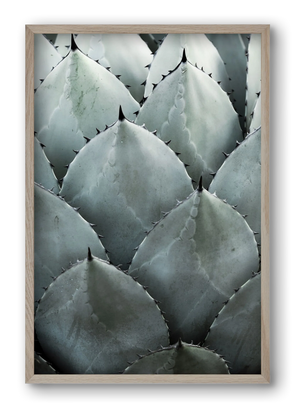 My mint moment - artbridge