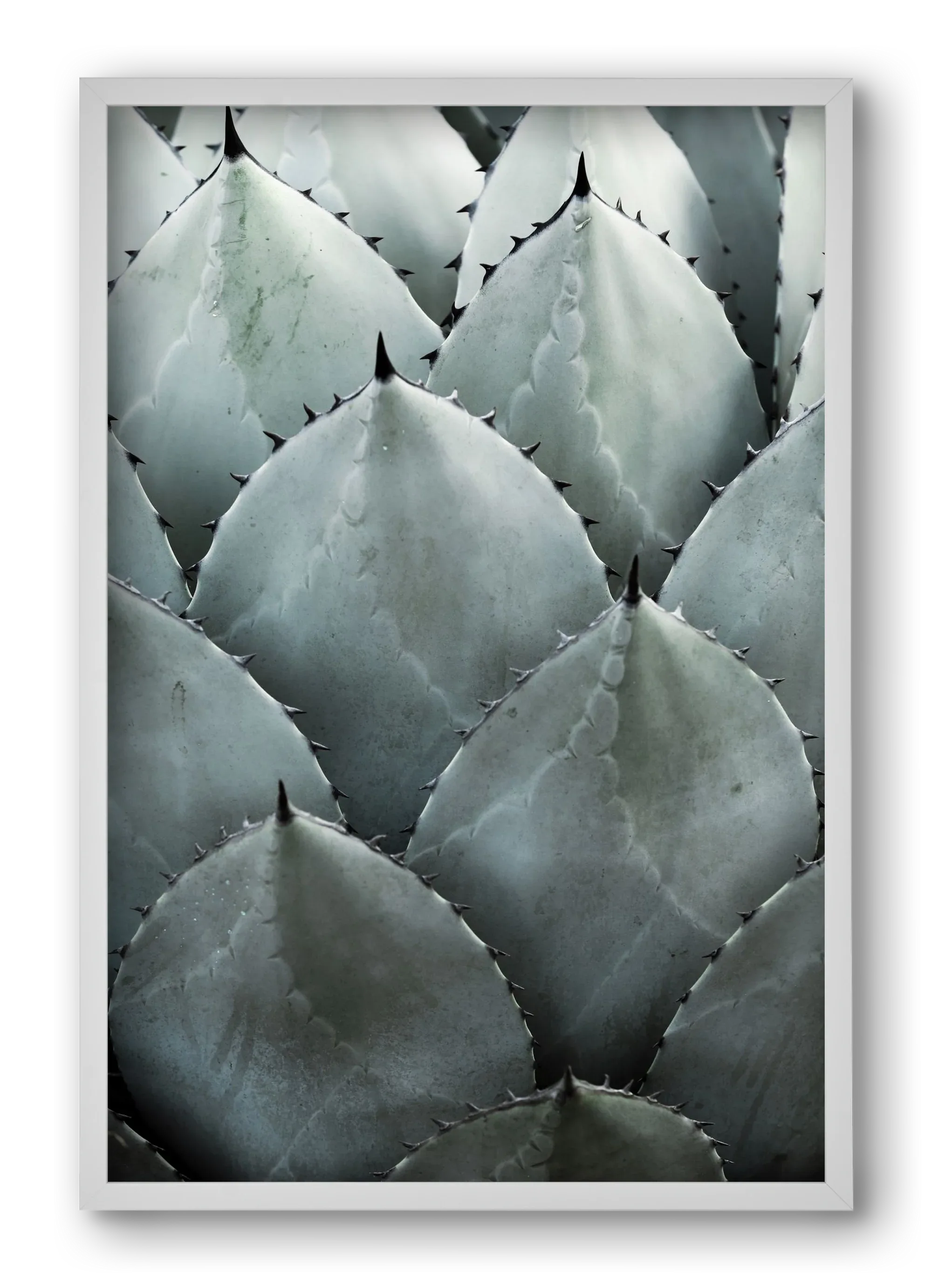 My mint moment - artbridge